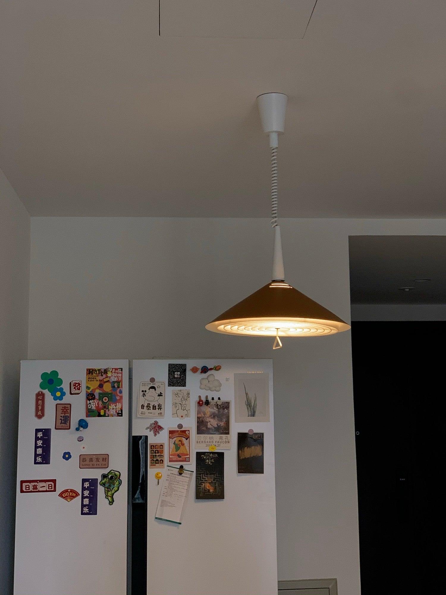 Agnes Modern Minimalist Retro Pendant Lamp - Image 8