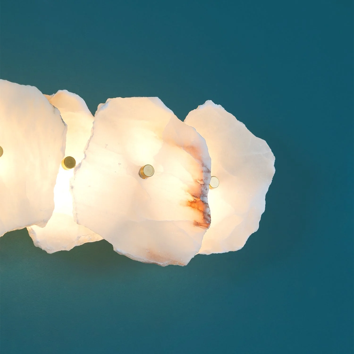 Alaeila Floral Cluster Alabaster Wall Light - Image 20