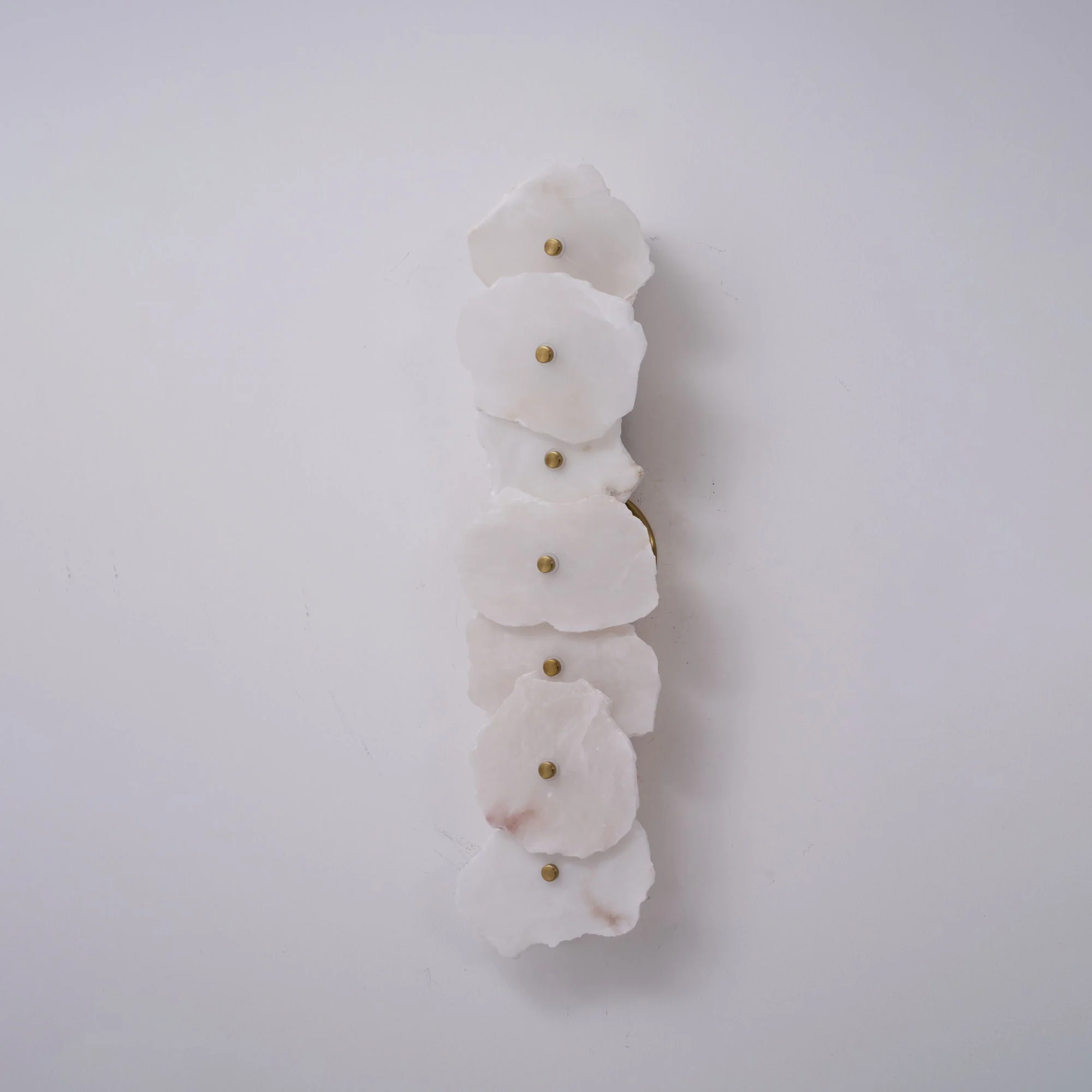 Alaeila Floral Cluster Alabaster Wall Light - Image 45