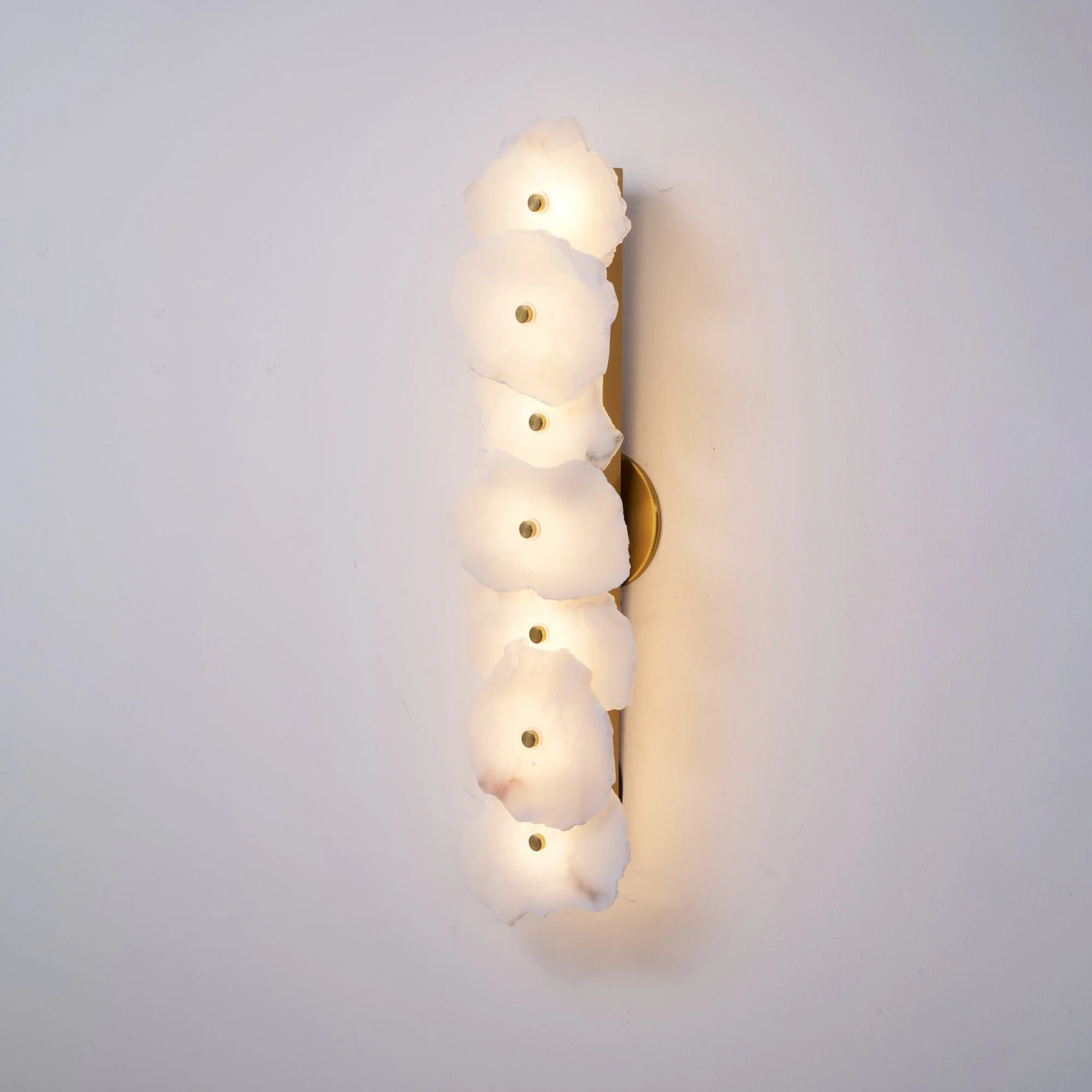 Alaeila Floral Cluster Alabaster Wall Light - Image 48
