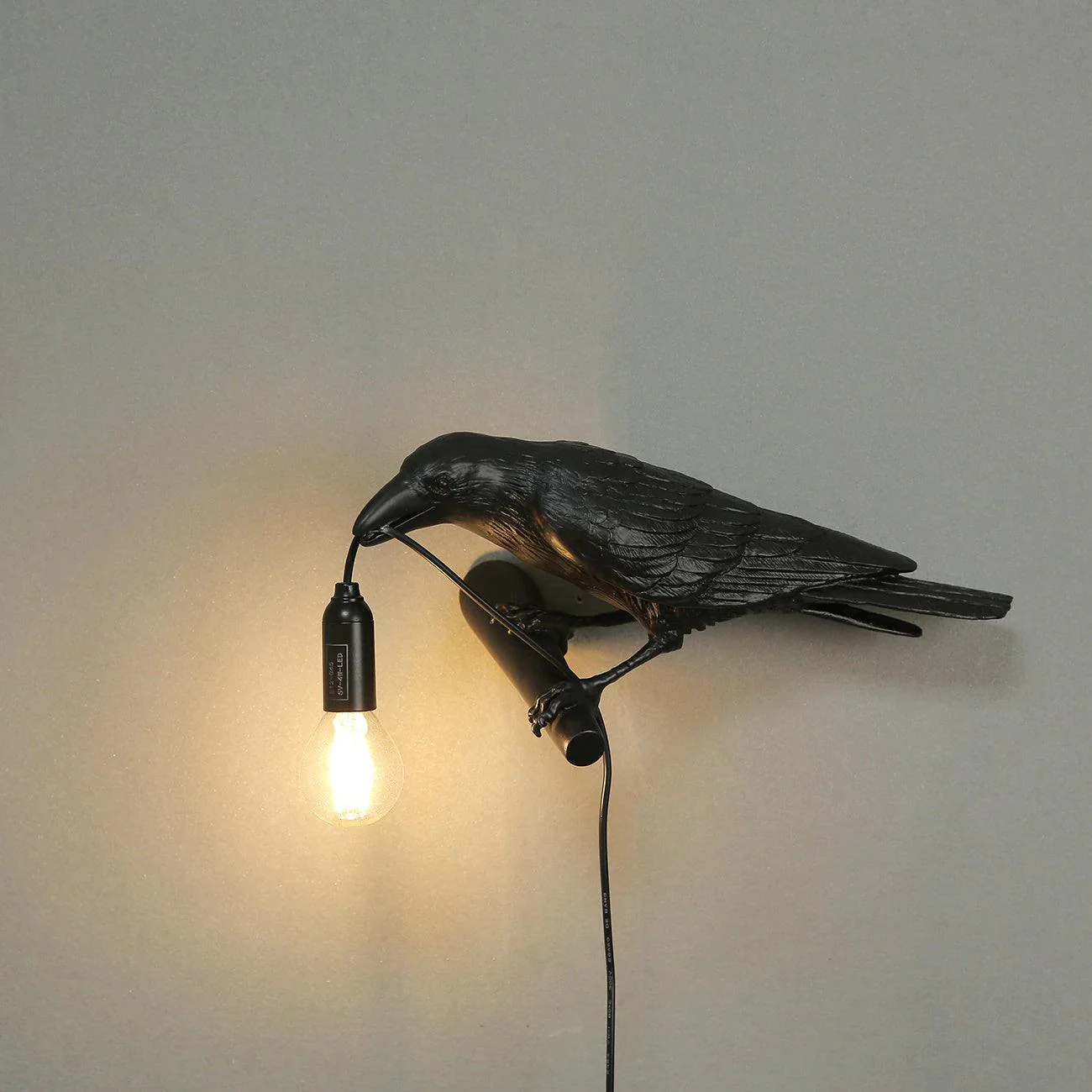 Astrarc Resin Whimsical Wall Lamp - Image 4