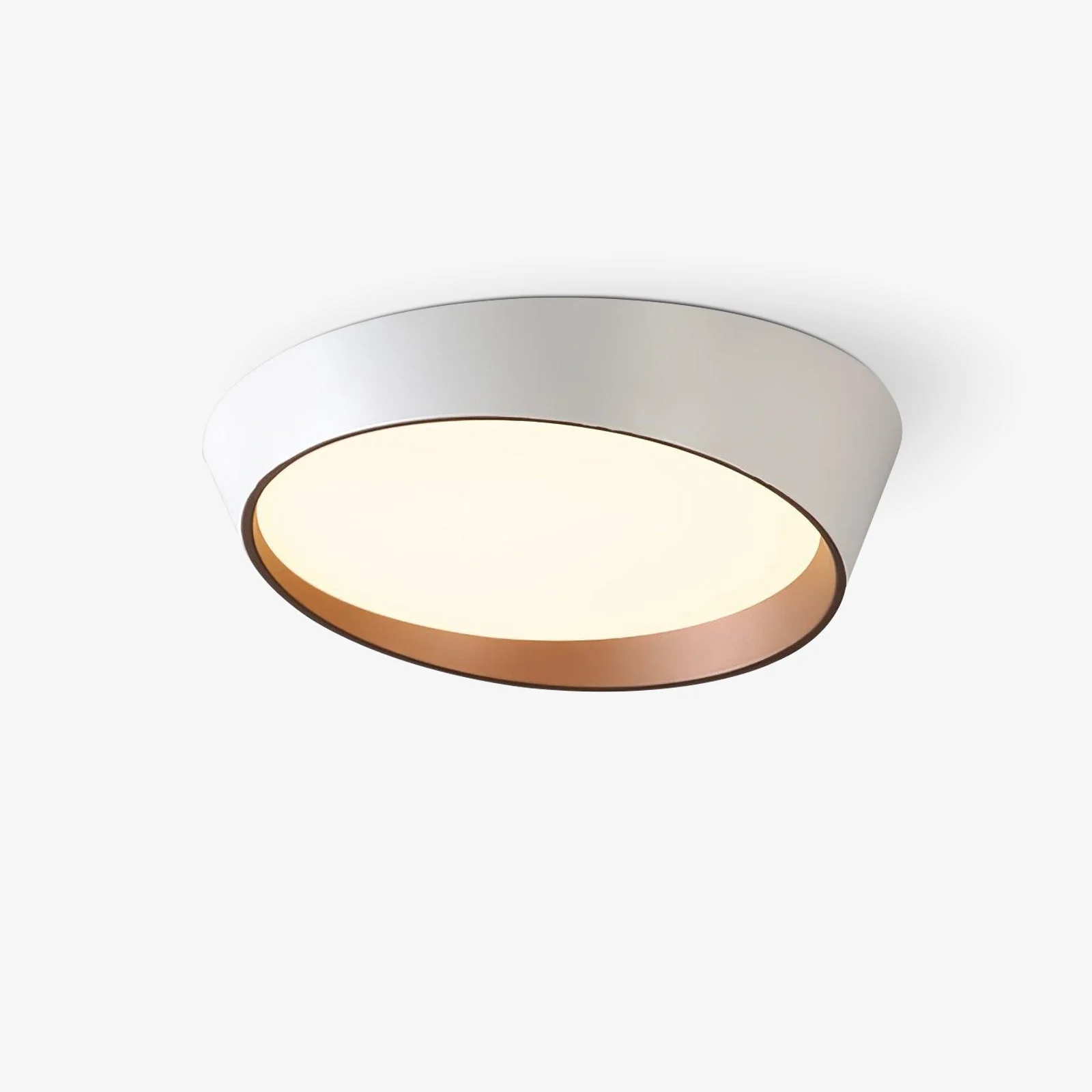Avnoran Modern Minimalist Ceiling Lamp
