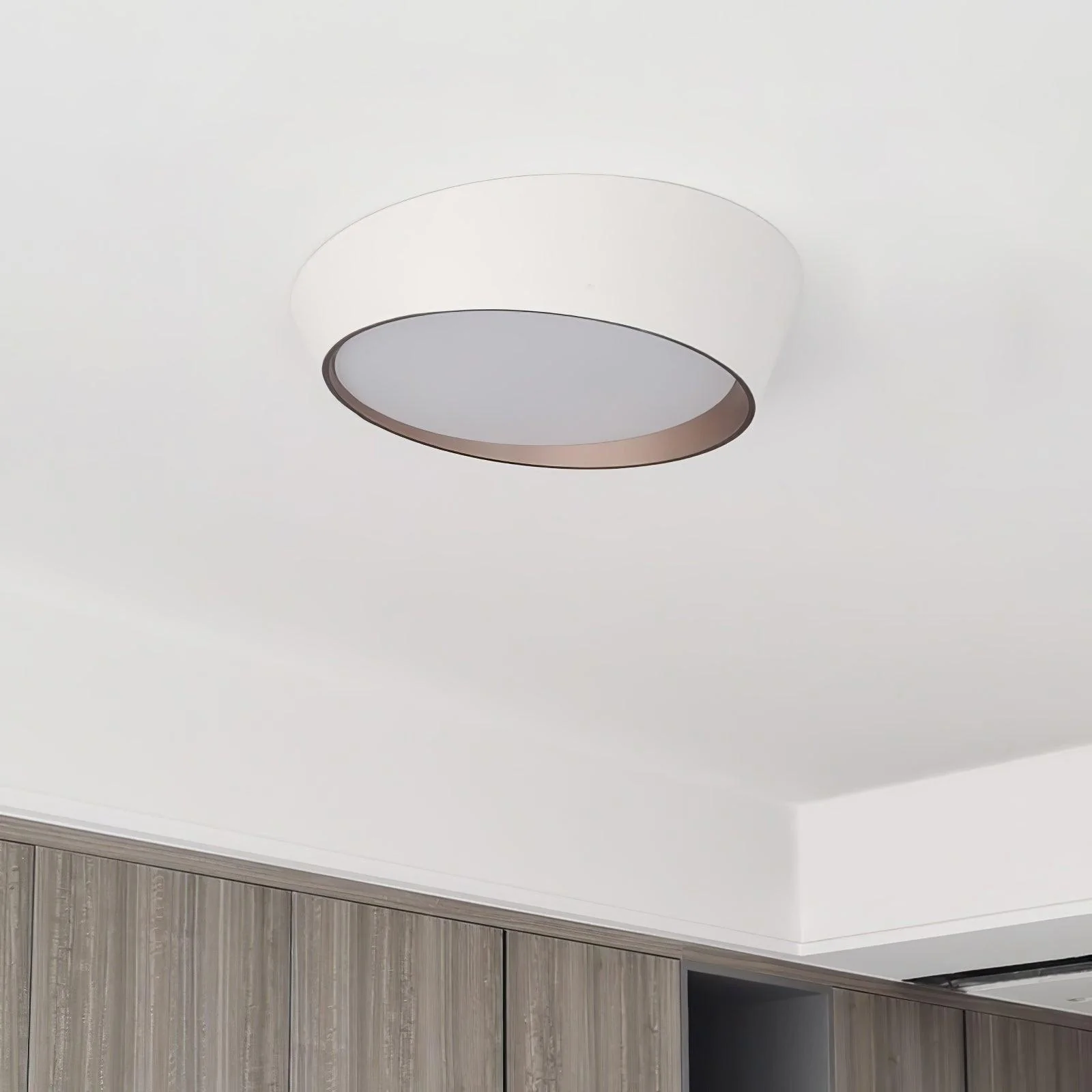 Avnoran Modern Minimalist Ceiling Lamp - Image 13