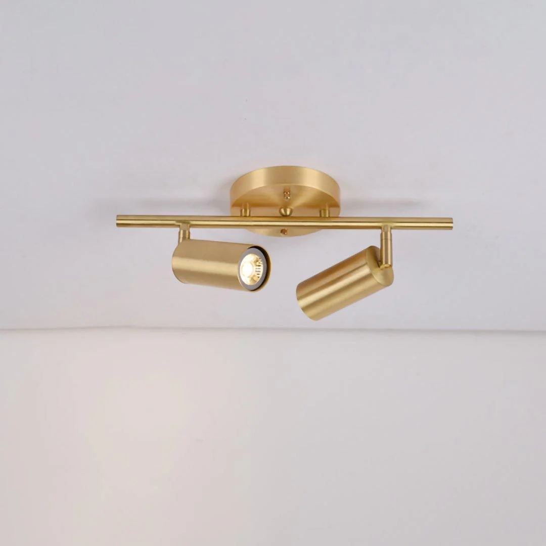 Cacaryra Modern Minimalist Brass Ceiling Lamp - Image 26