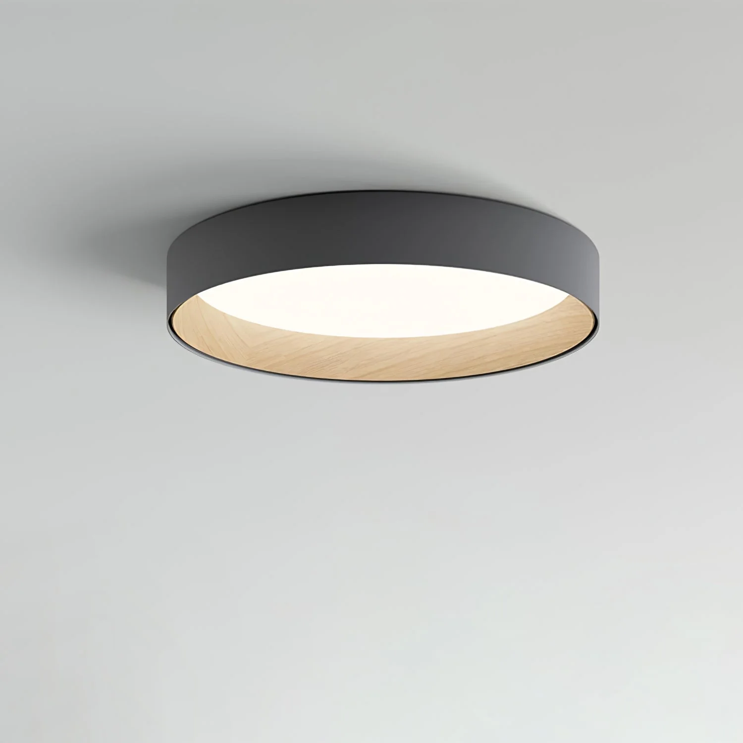 Caraeara Modern Minimalist Round Ceiling Lamp - Image 19