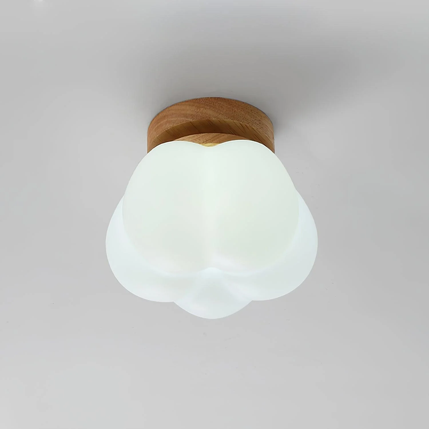 Cinorisra Nordic Art Flower Mini Ceiling Lamp - Image 3