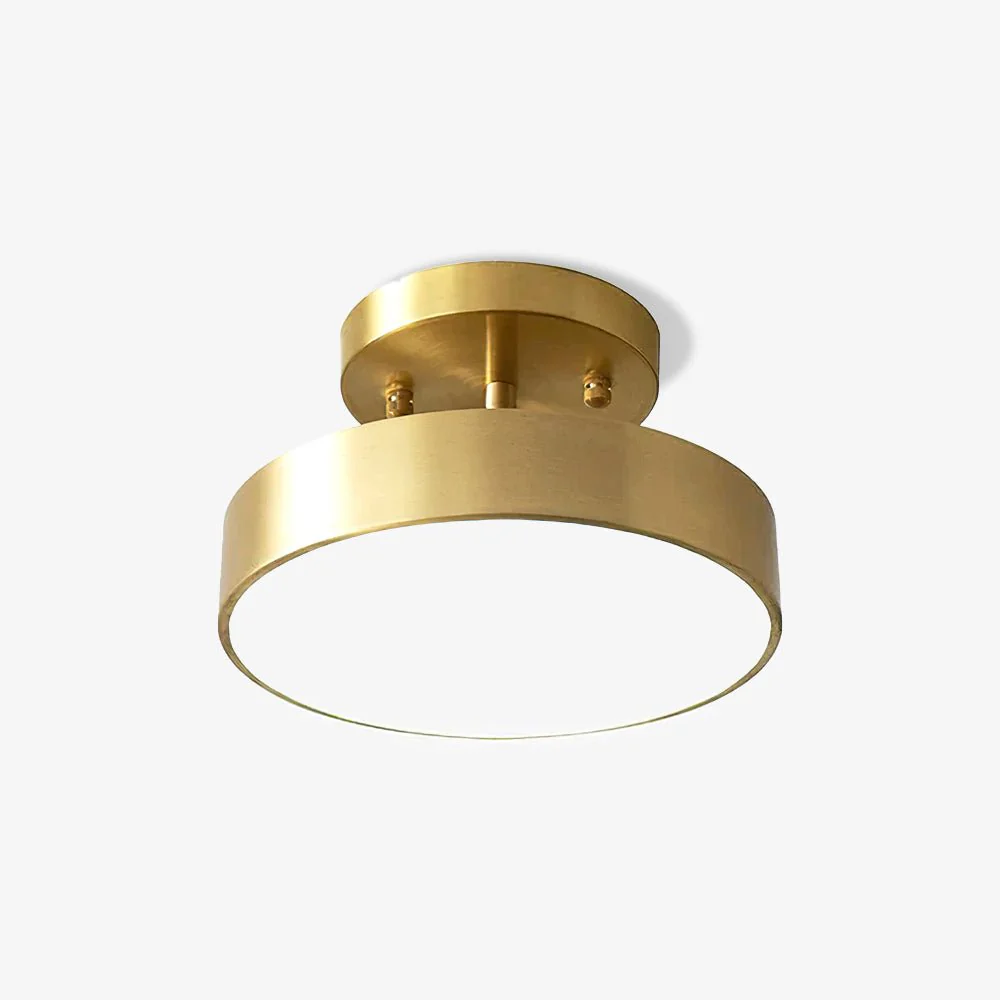 Cizorila Modern Minimalist Rotating Ceiling Lamp - Image 16