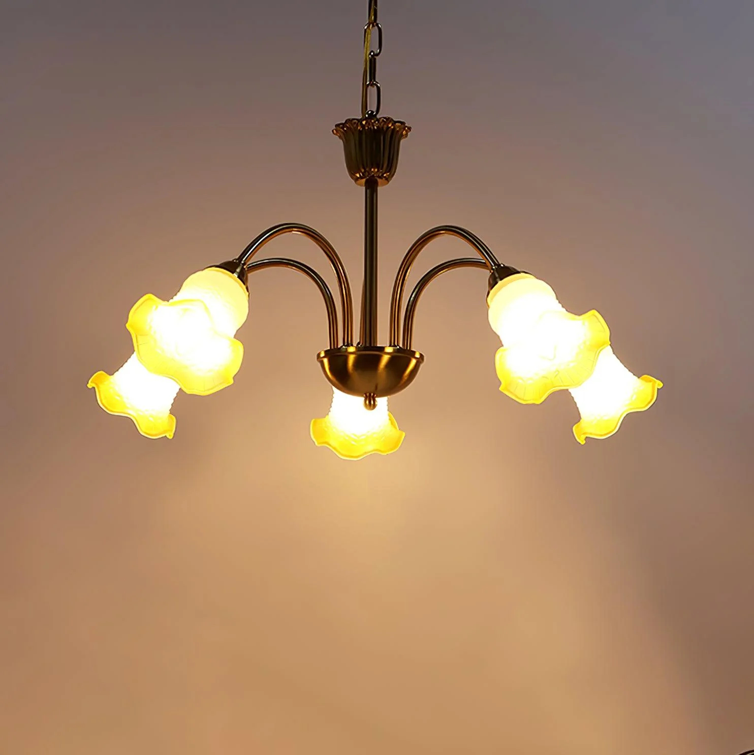Diane Vintage Glass Chandelier - Image 24