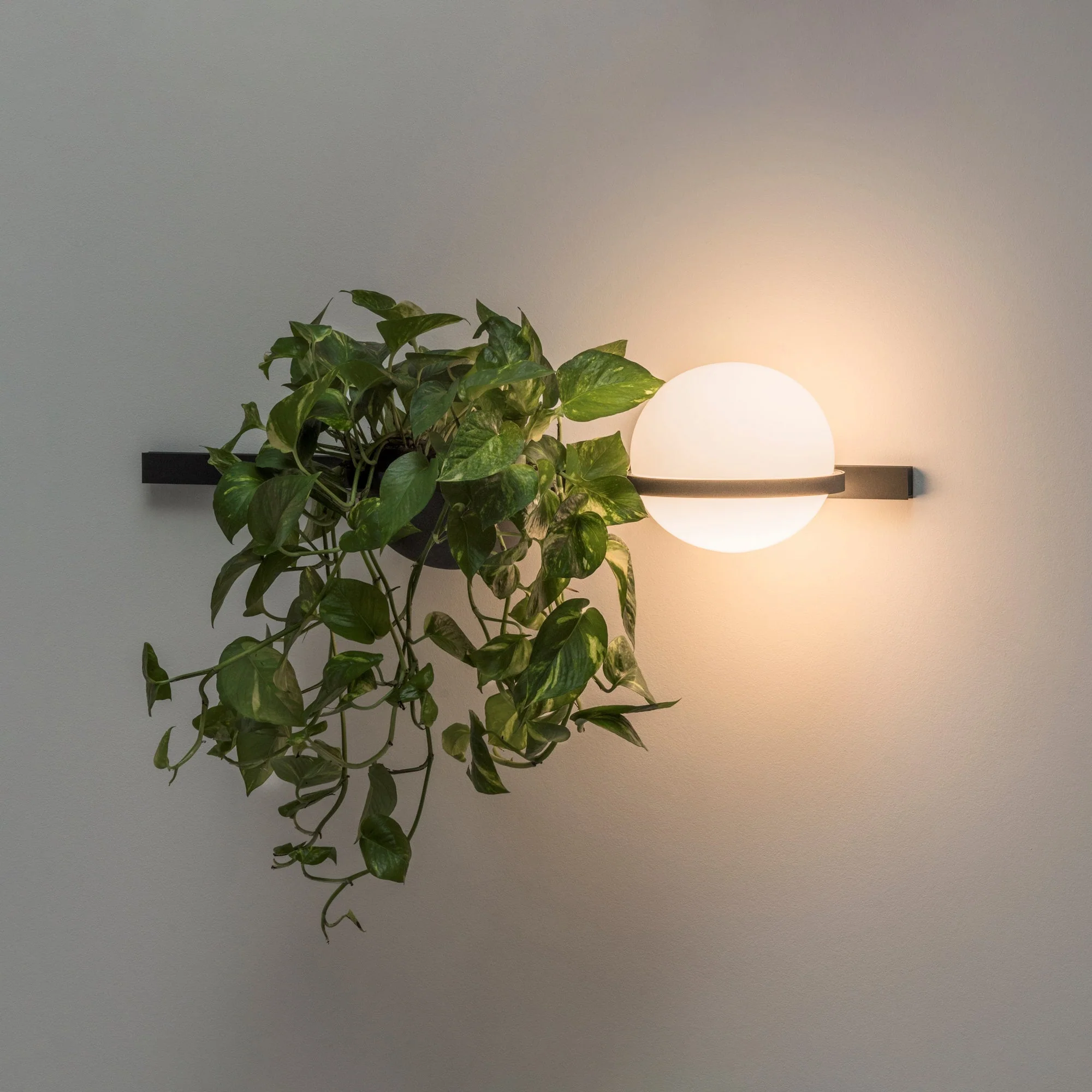 Elmarisra Modern Minimalist Wall Light - Image 14