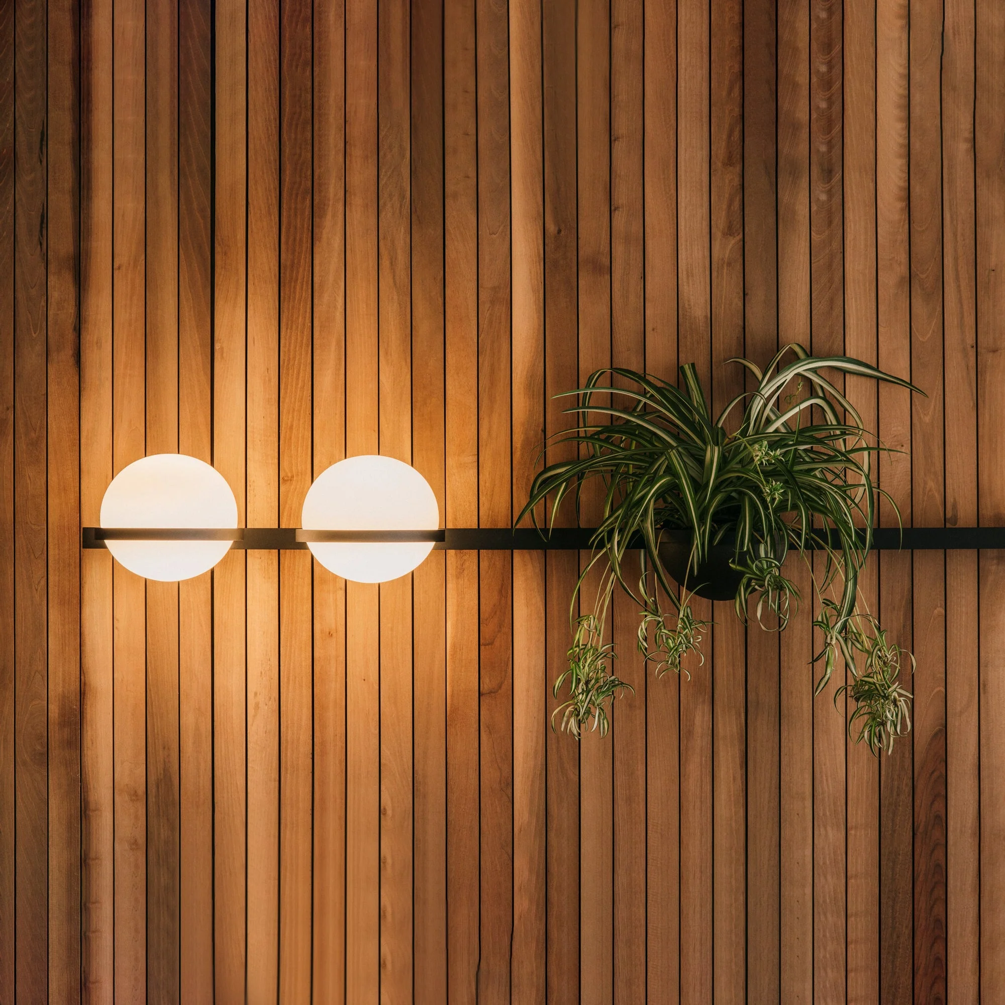 Elmarisra Modern Minimalist Wall Light - Image 49