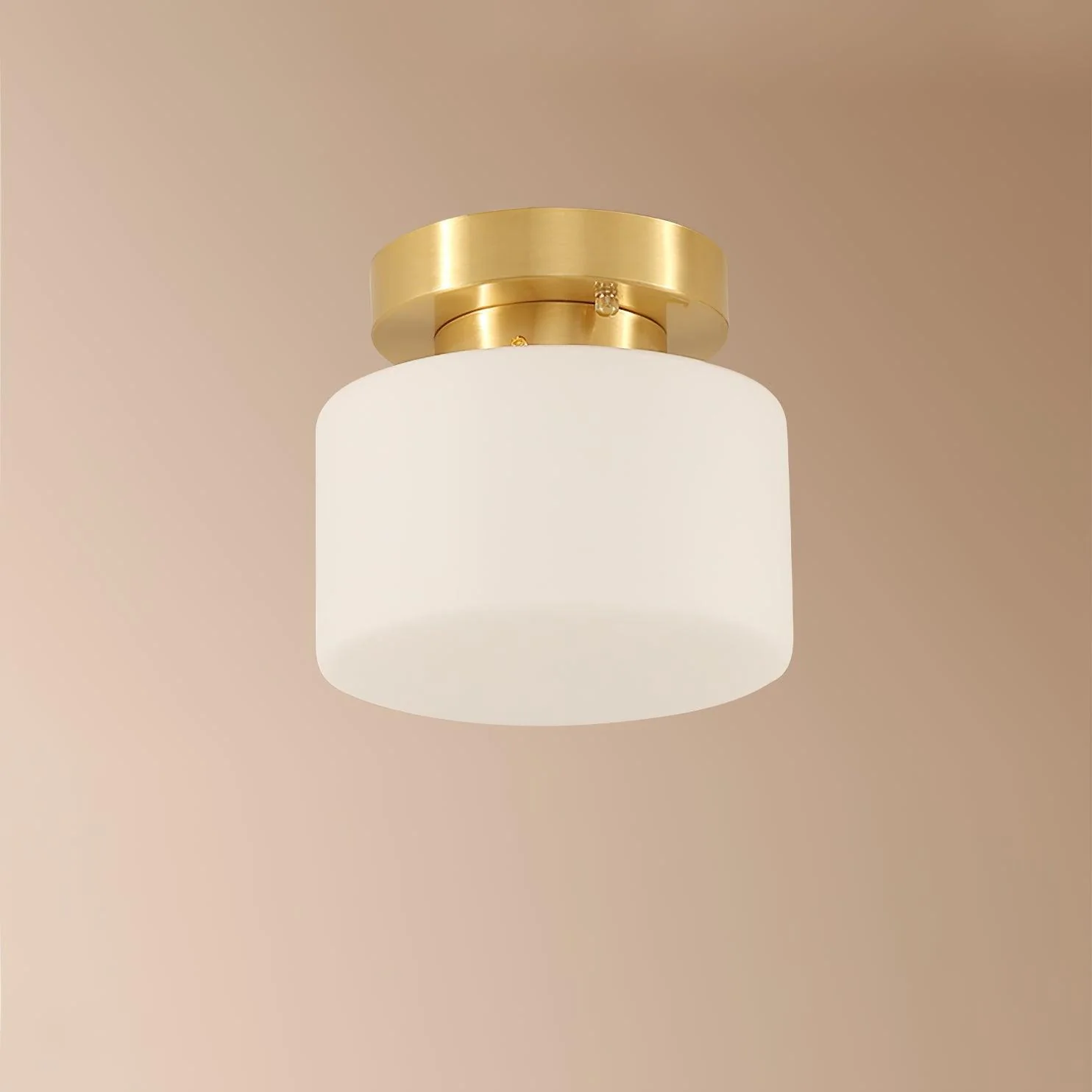 Elsilisra Nordic Art Brass Glass Flush Mount Ceiling Light - Image 13