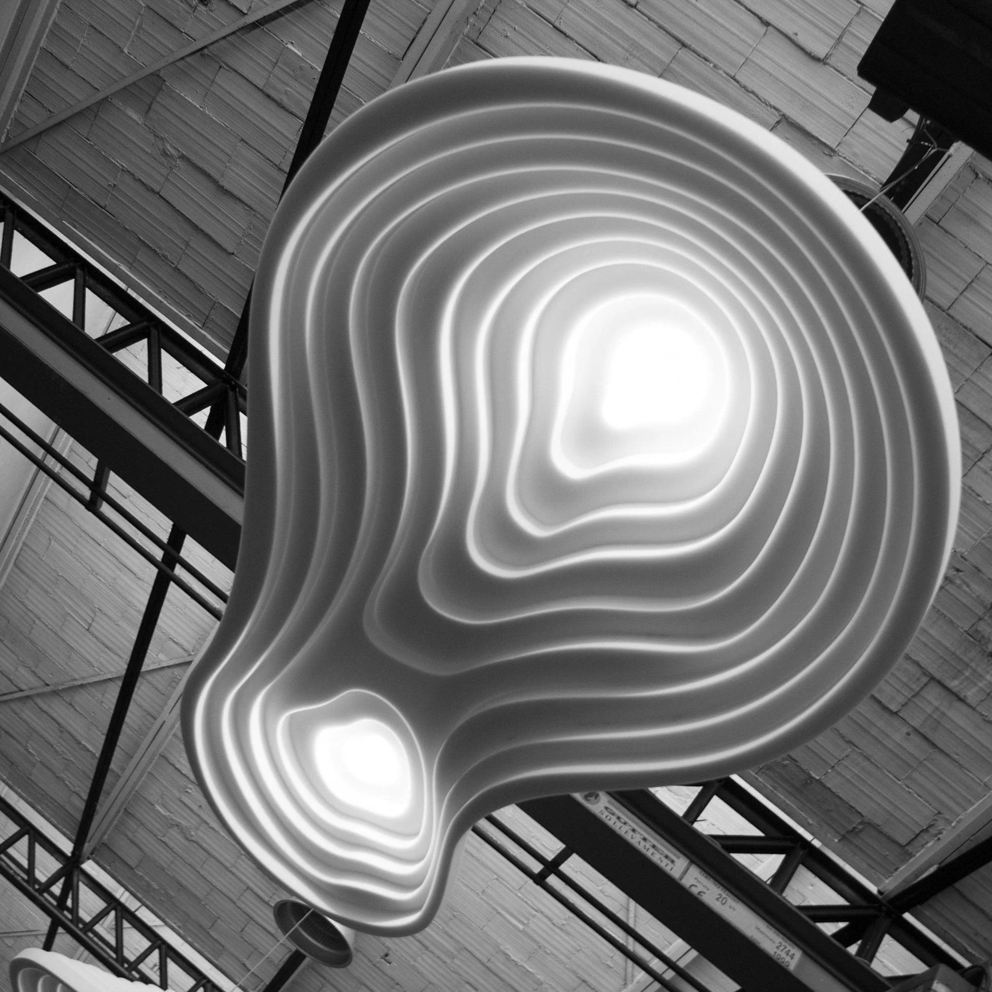Eurtalir Nordic Art Field Resin Pendant Lamps - Image 13