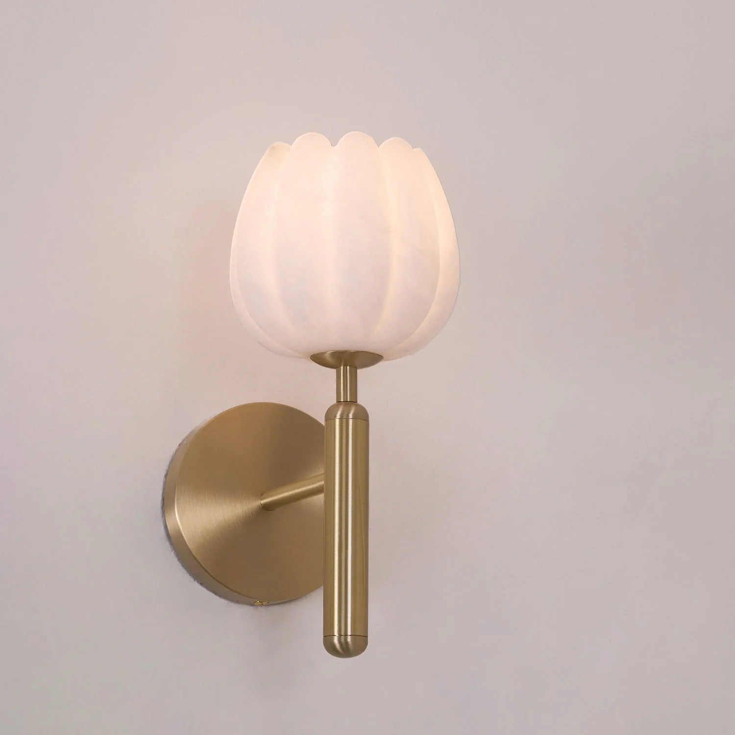 Eurzorion Floral Alabaster Brass Wall Light - Image 18