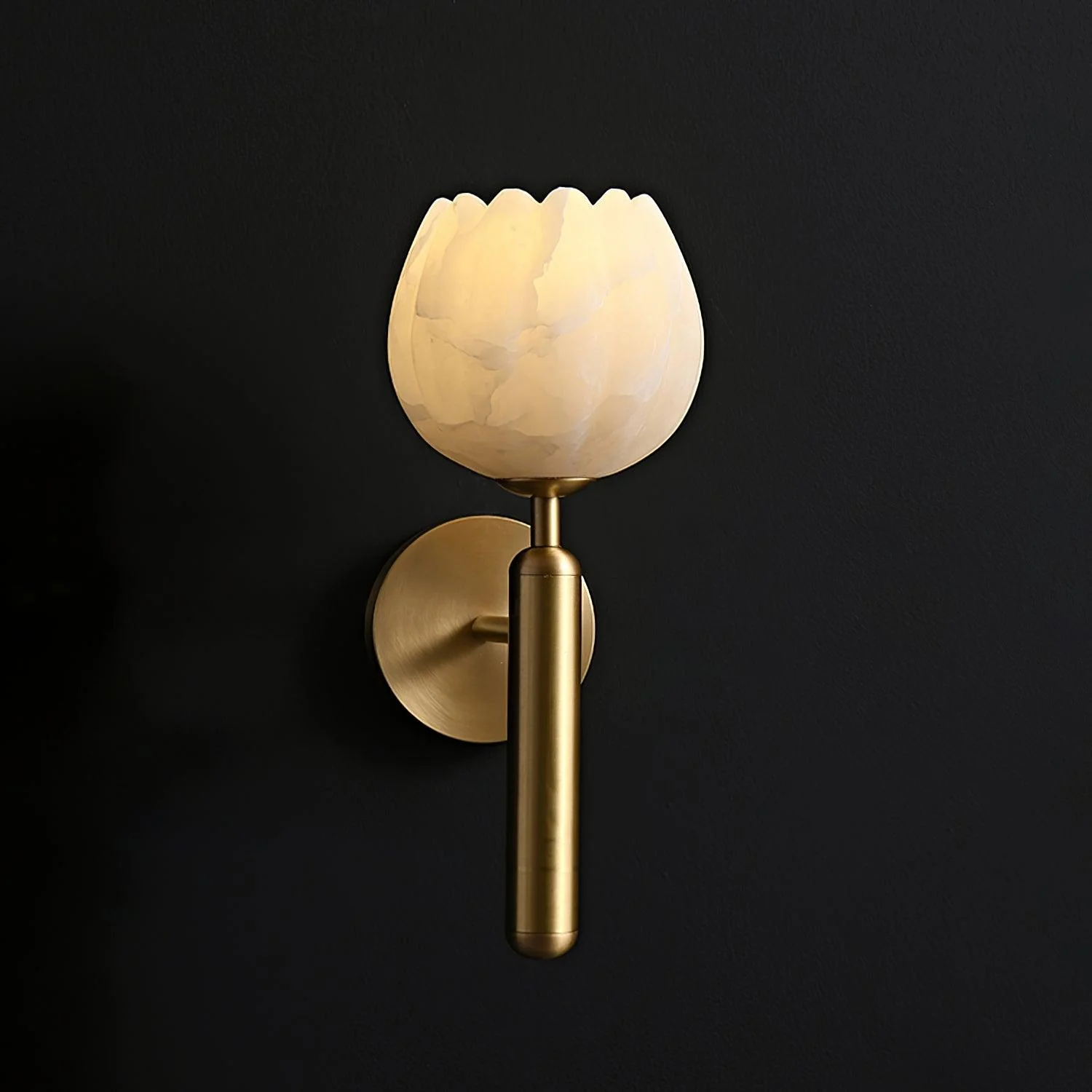 Eurzorion Floral Alabaster Brass Wall Light - Image 23