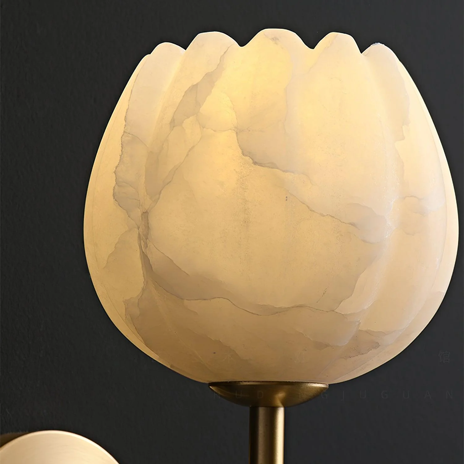 Eurzorion Floral Alabaster Brass Wall Light - Image 27
