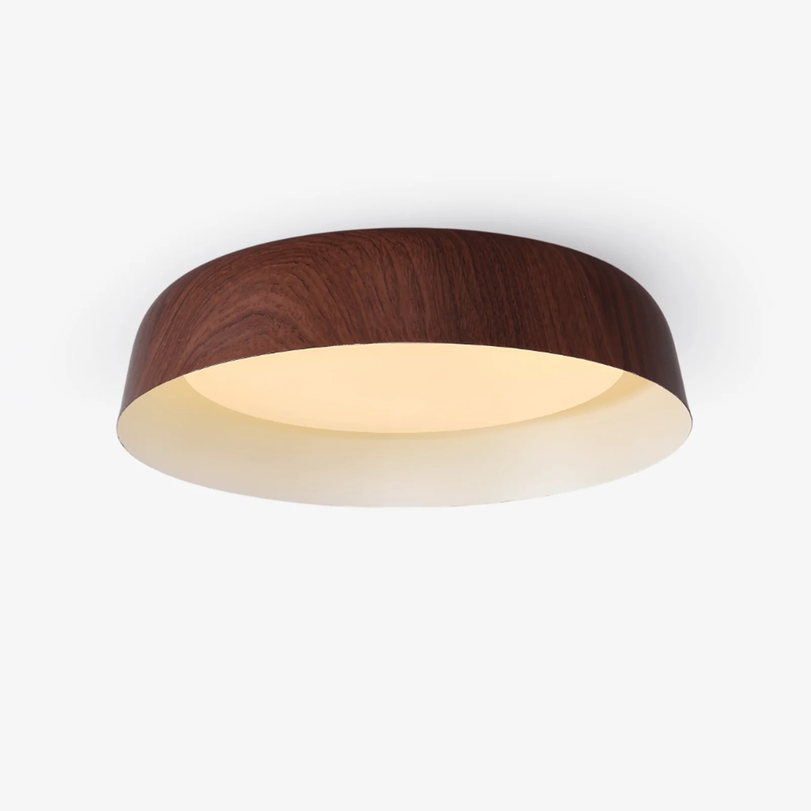 Idorara Modern Minimalist Ceiling Light