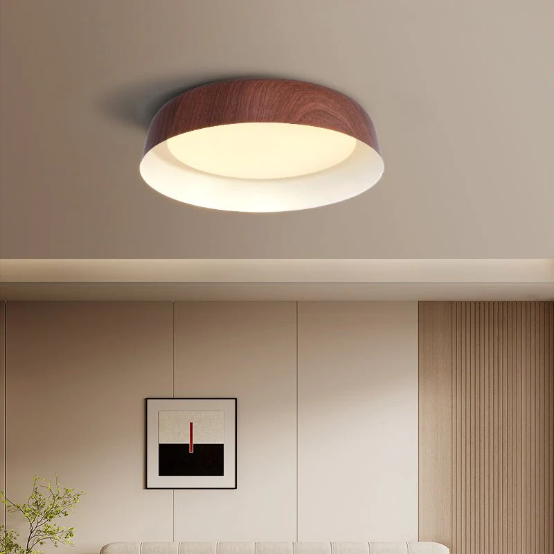 Idorara Modern Minimalist Ceiling Light - Image 11