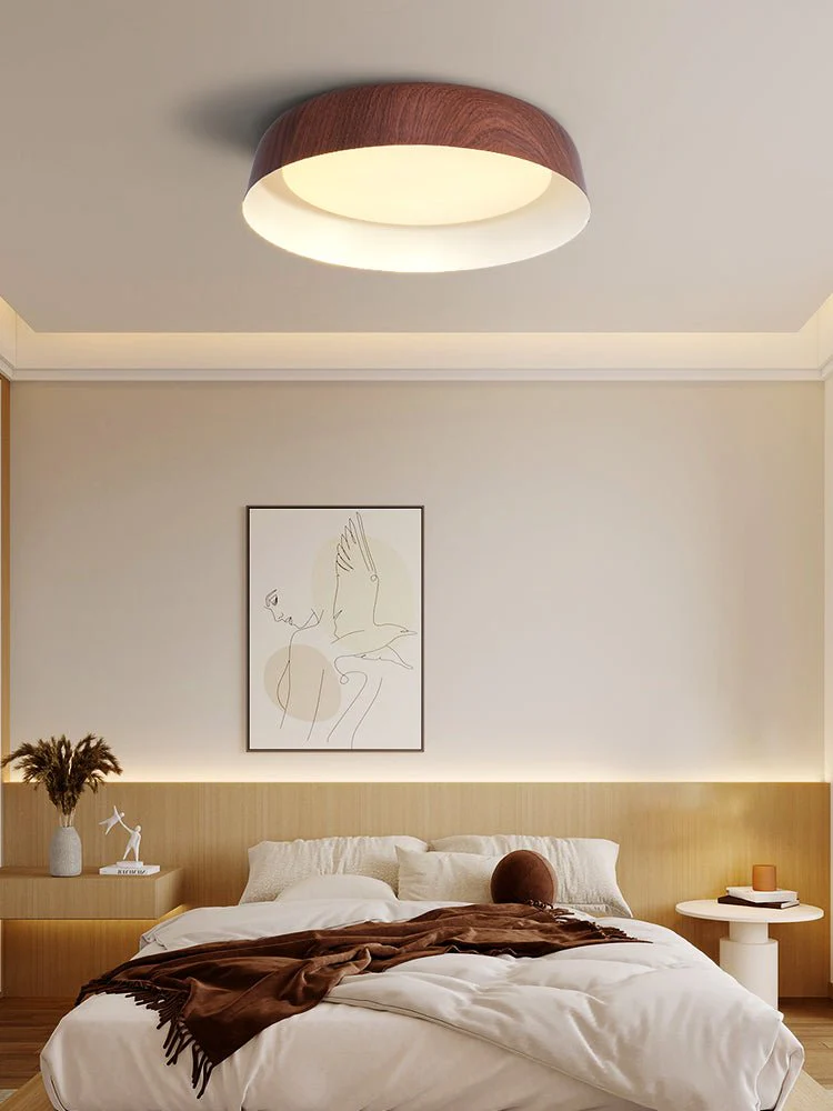 Idorara Modern Minimalist Ceiling Light - Image 12