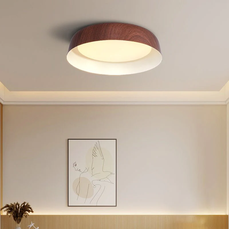 Idorara Modern Minimalist Ceiling Light - Image 13