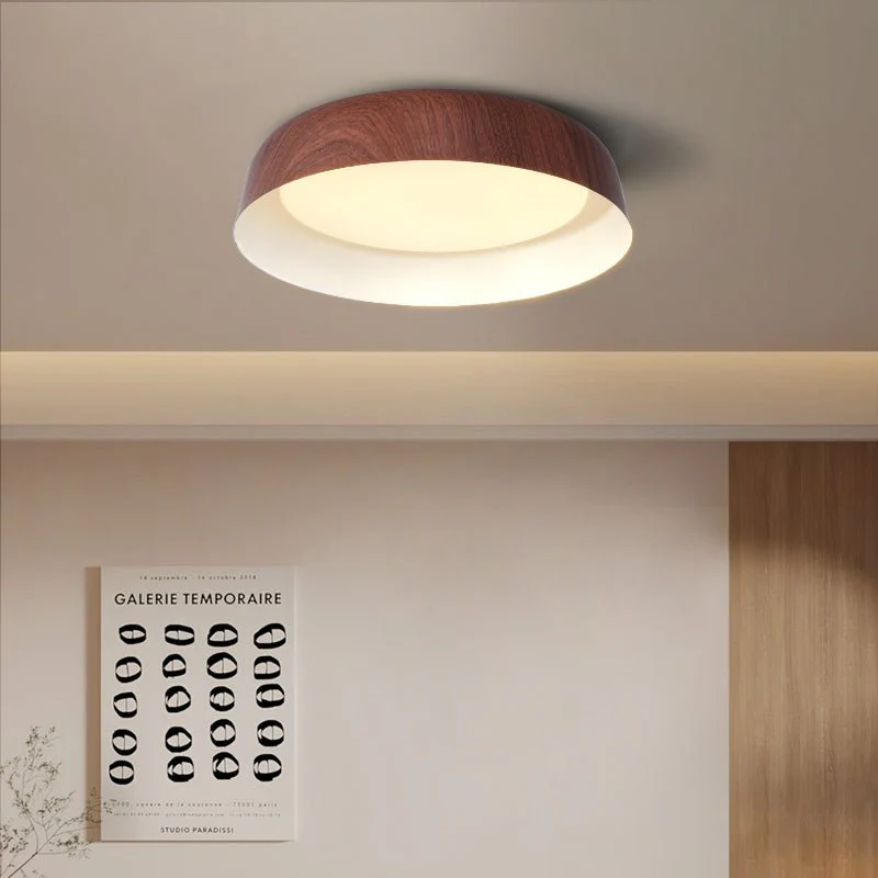 Idorara Modern Minimalist Ceiling Light - Image 15
