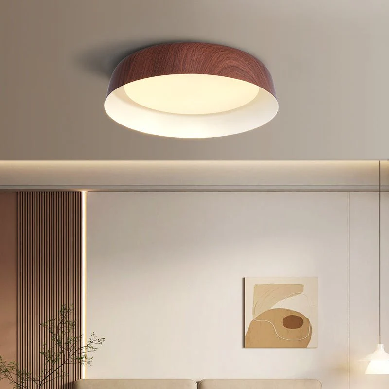 Idorara Modern Minimalist Ceiling Light - Image 16