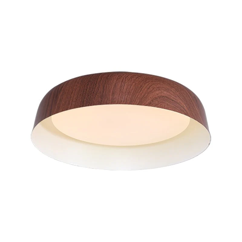Idorara Modern Minimalist Ceiling Light - Image 17