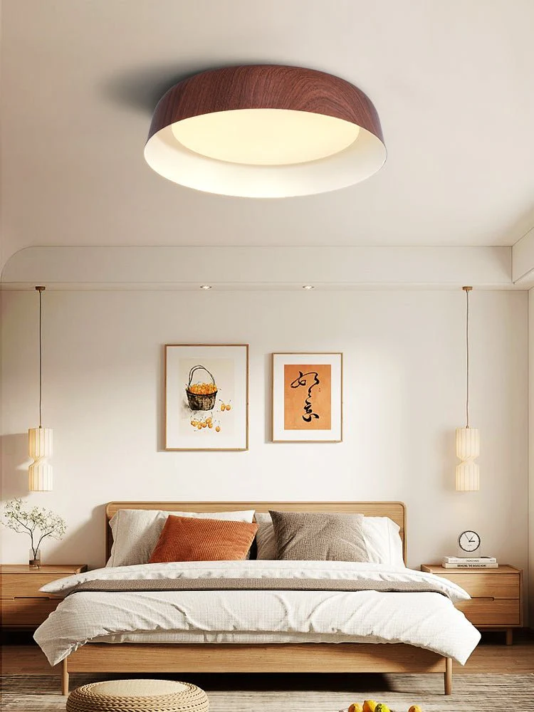 Idorara Modern Minimalist Ceiling Light - Image 18