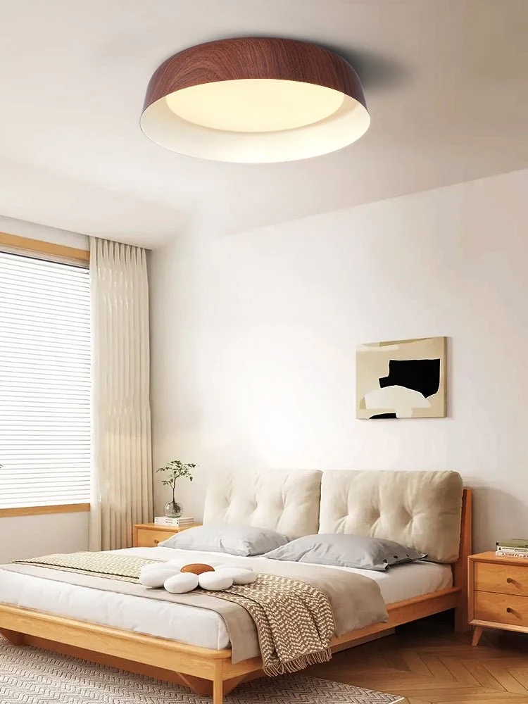 Idorara Modern Minimalist Ceiling Light - Image 19