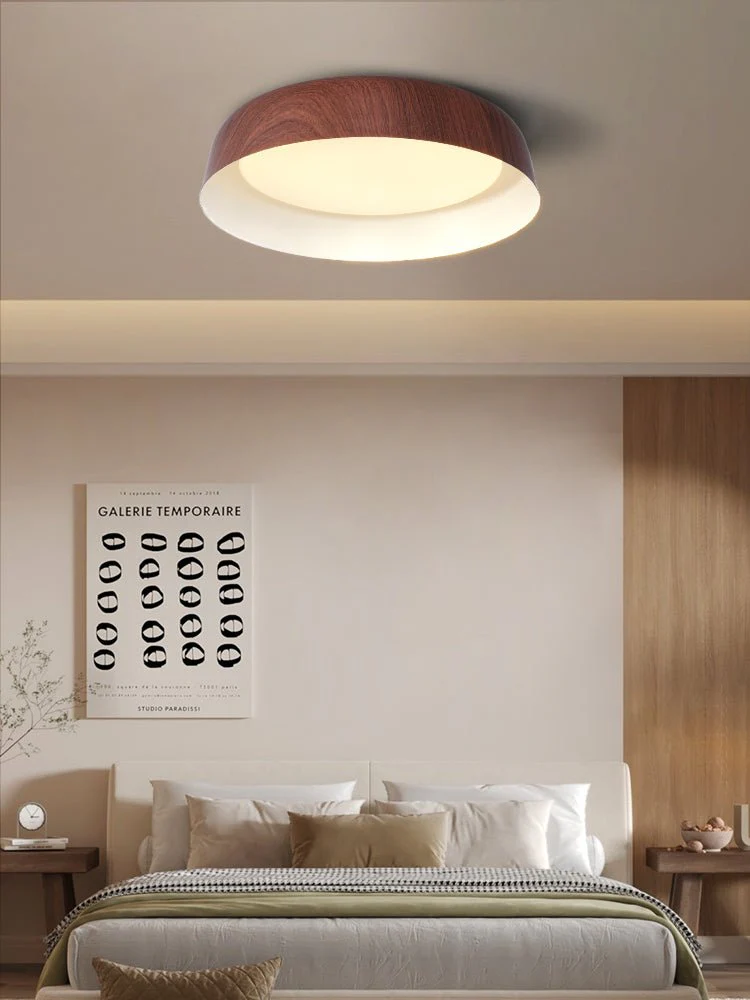 Idorara Modern Minimalist Ceiling Light - Image 20
