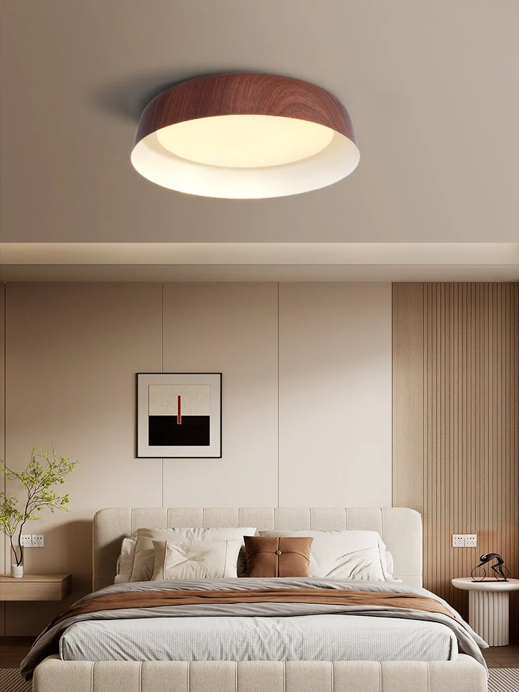Idorara Modern Minimalist Ceiling Light - Image 21