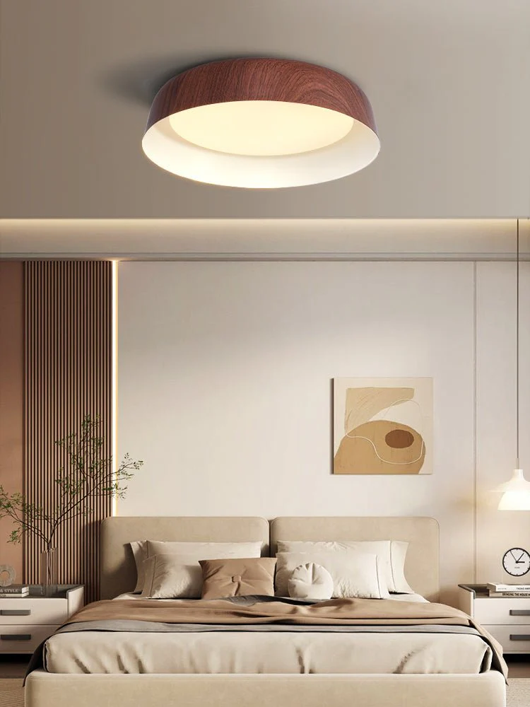 Idorara Modern Minimalist Ceiling Light - Image 22