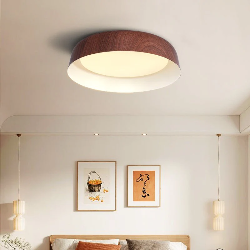 Idorara Modern Minimalist Ceiling Light - Image 4