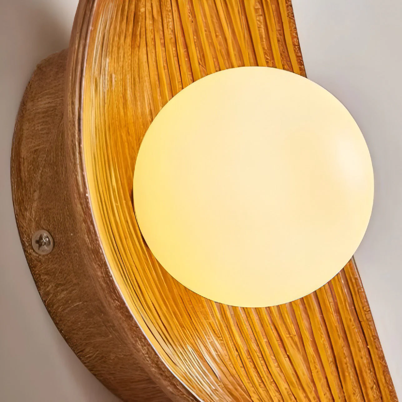 Iyana Farmhouse Resin Wall Light - Image 9