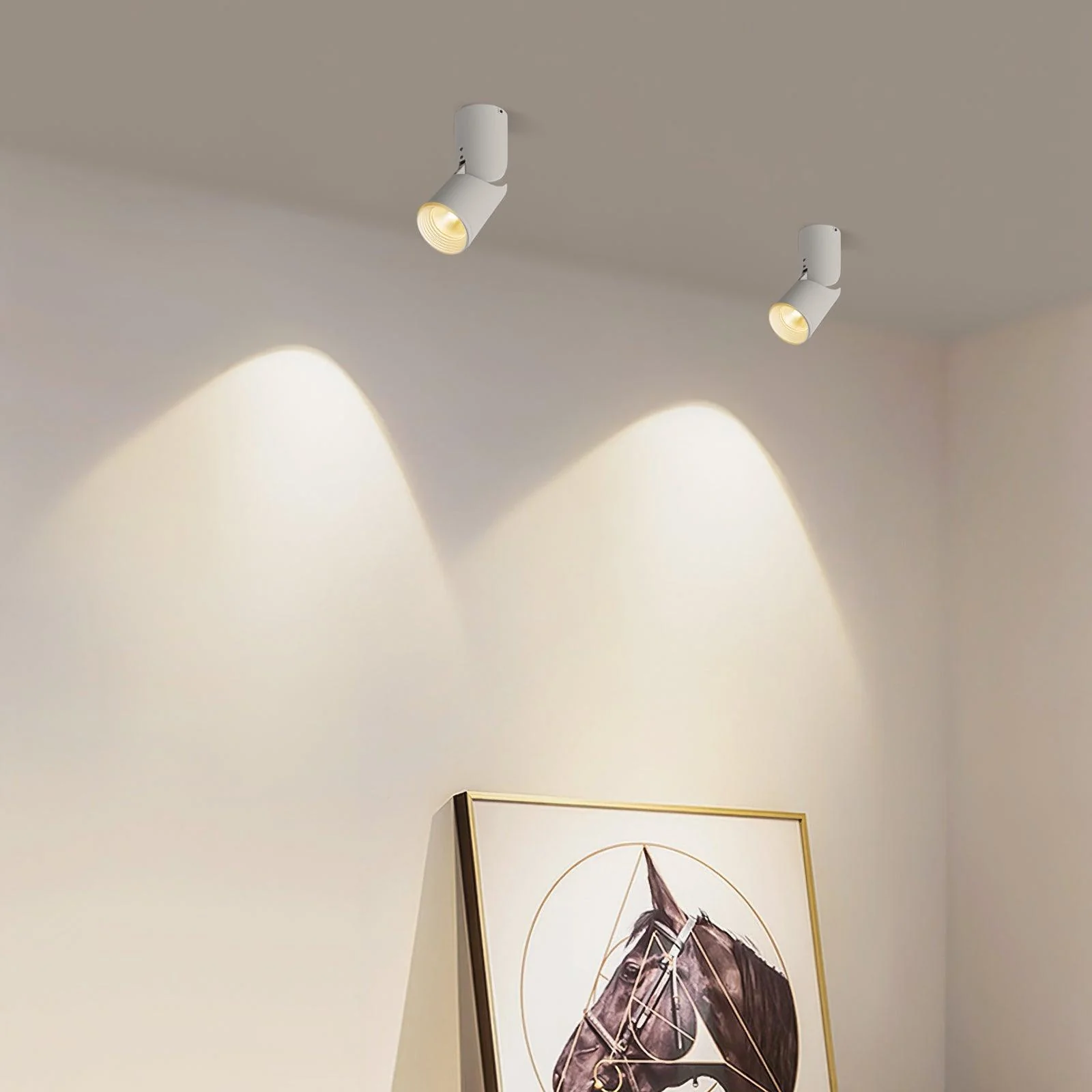 Lustra Ceiling lamp LED Spotlights Sunny Adjustable - Image 22