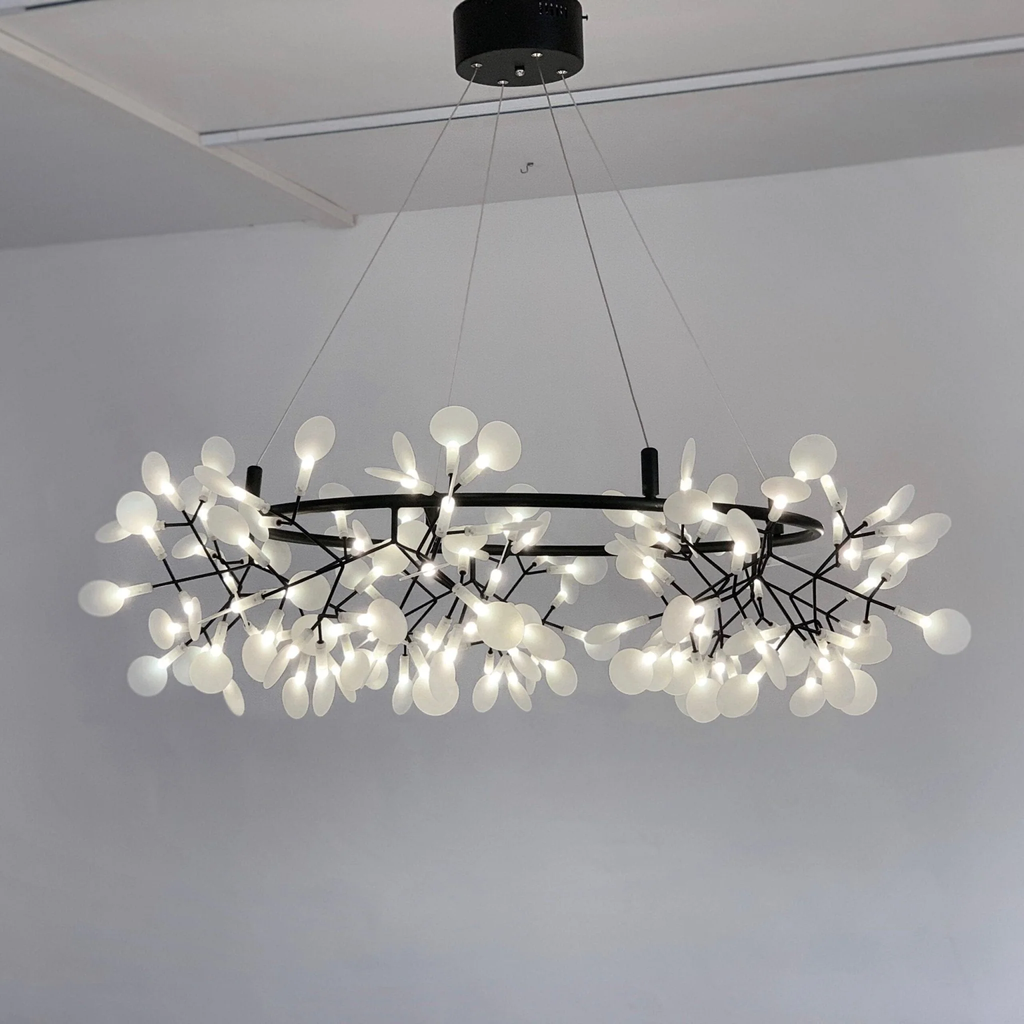Lustra Chandelier Black Ring Firefly Branch - Image 15