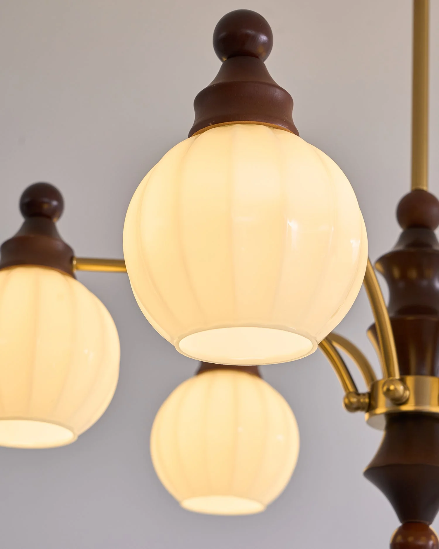 Lustra Chandelier Blossom with Glass Shades - Image 21