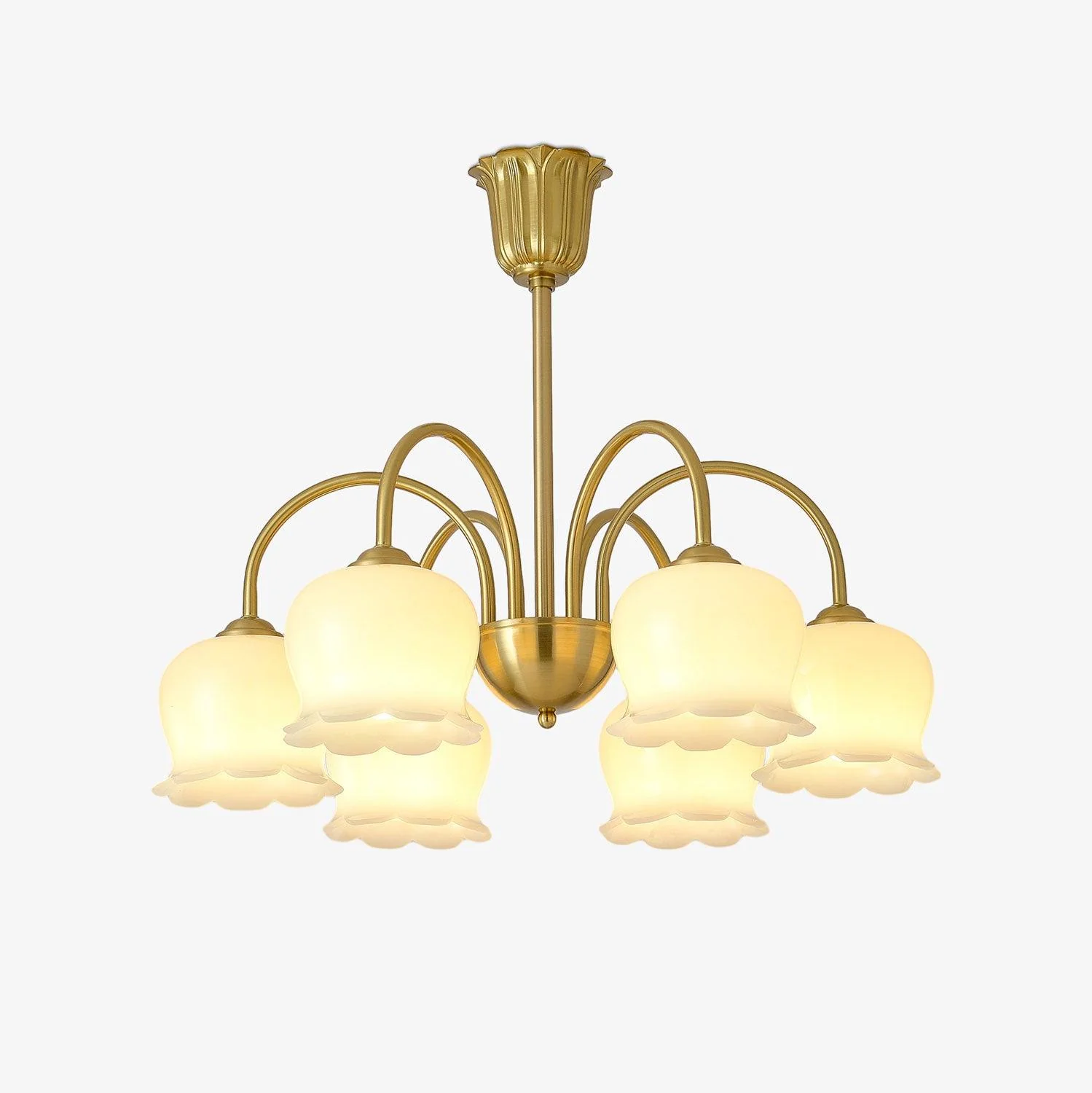 Lustra Chandelier Brass Elegant Curved Arm