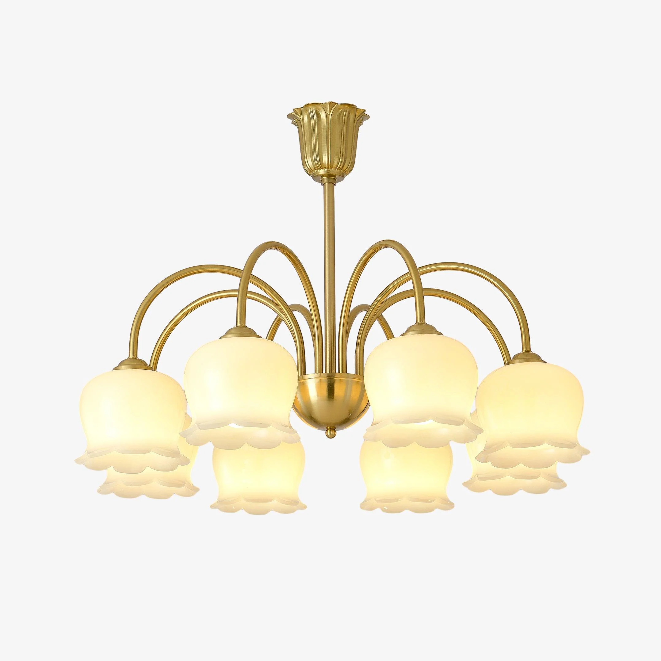 Lustra Chandelier Brass Elegant Curved Arm - Image 17