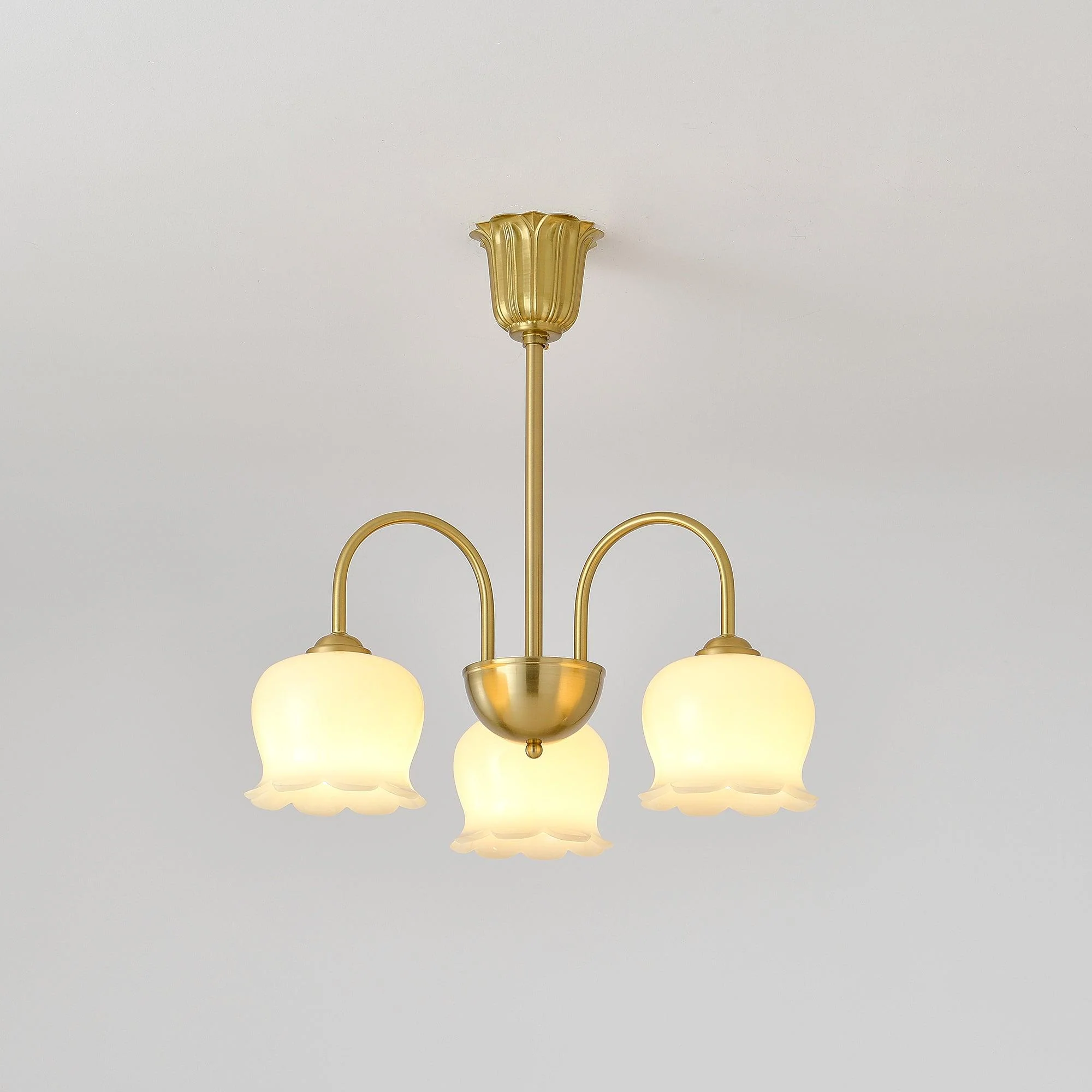 Lustra Chandelier Brass Elegant Curved Arm - Image 20