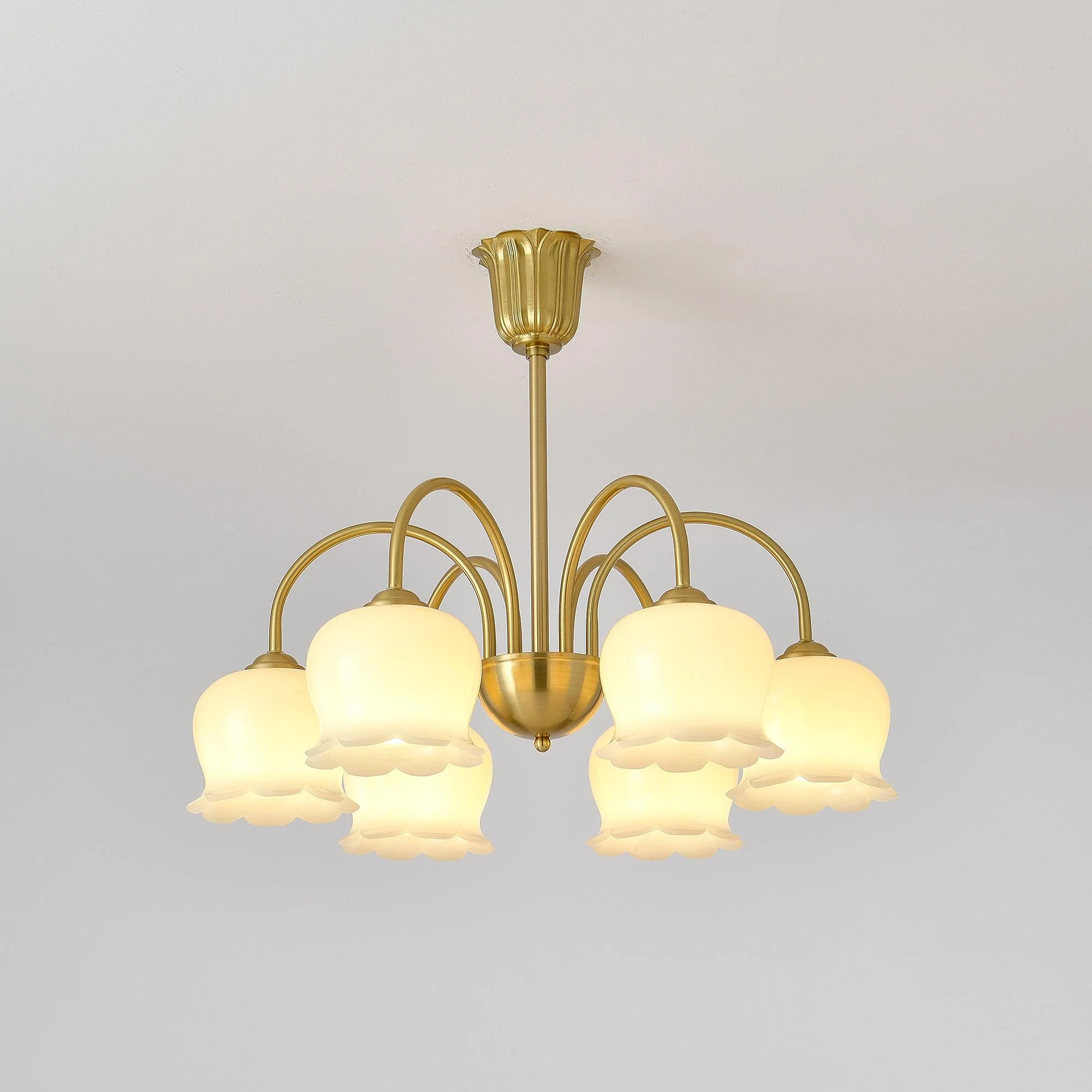 Lustra Chandelier Brass Elegant Curved Arm - Image 22