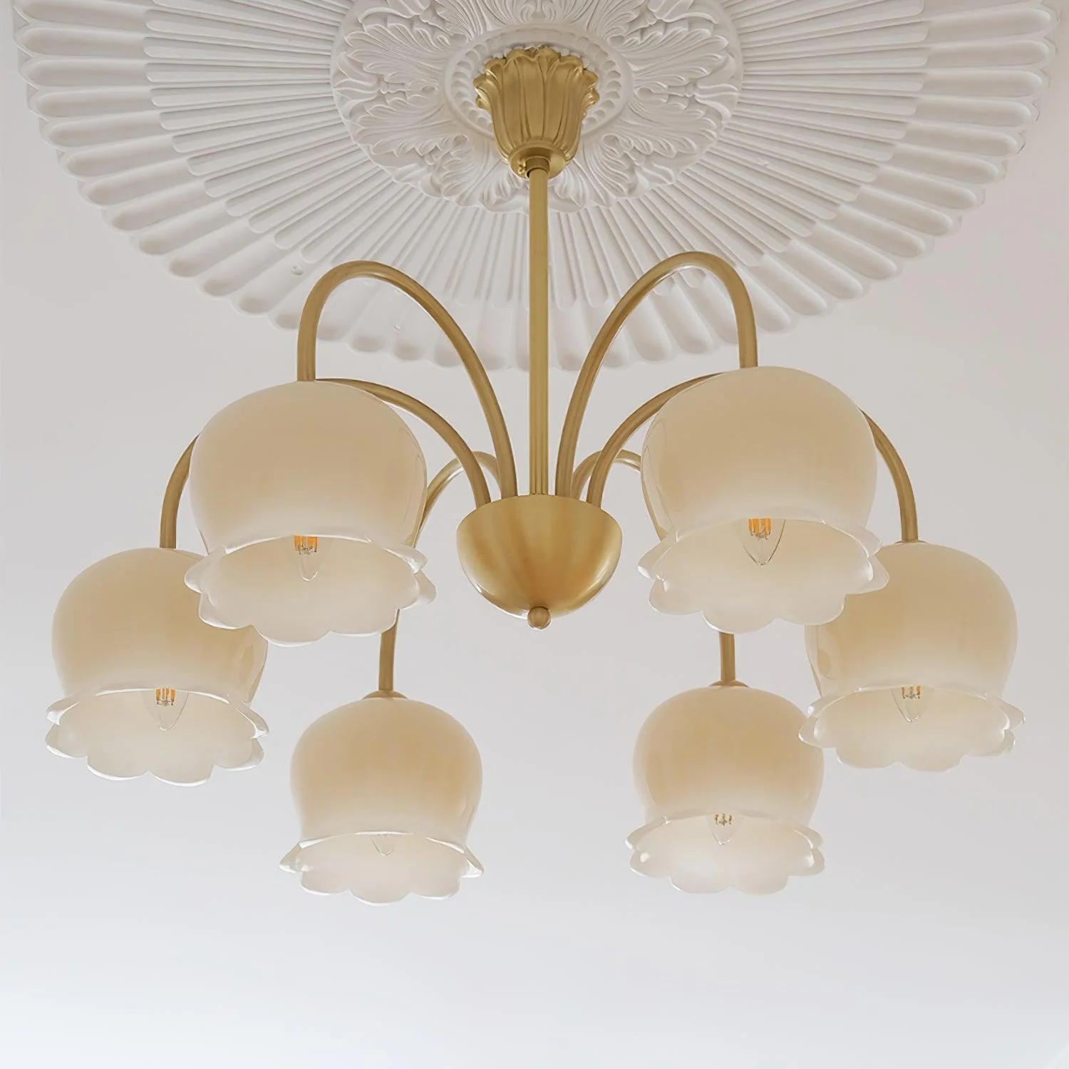Lustra Chandelier Brass Elegant Curved Arm - Image 23