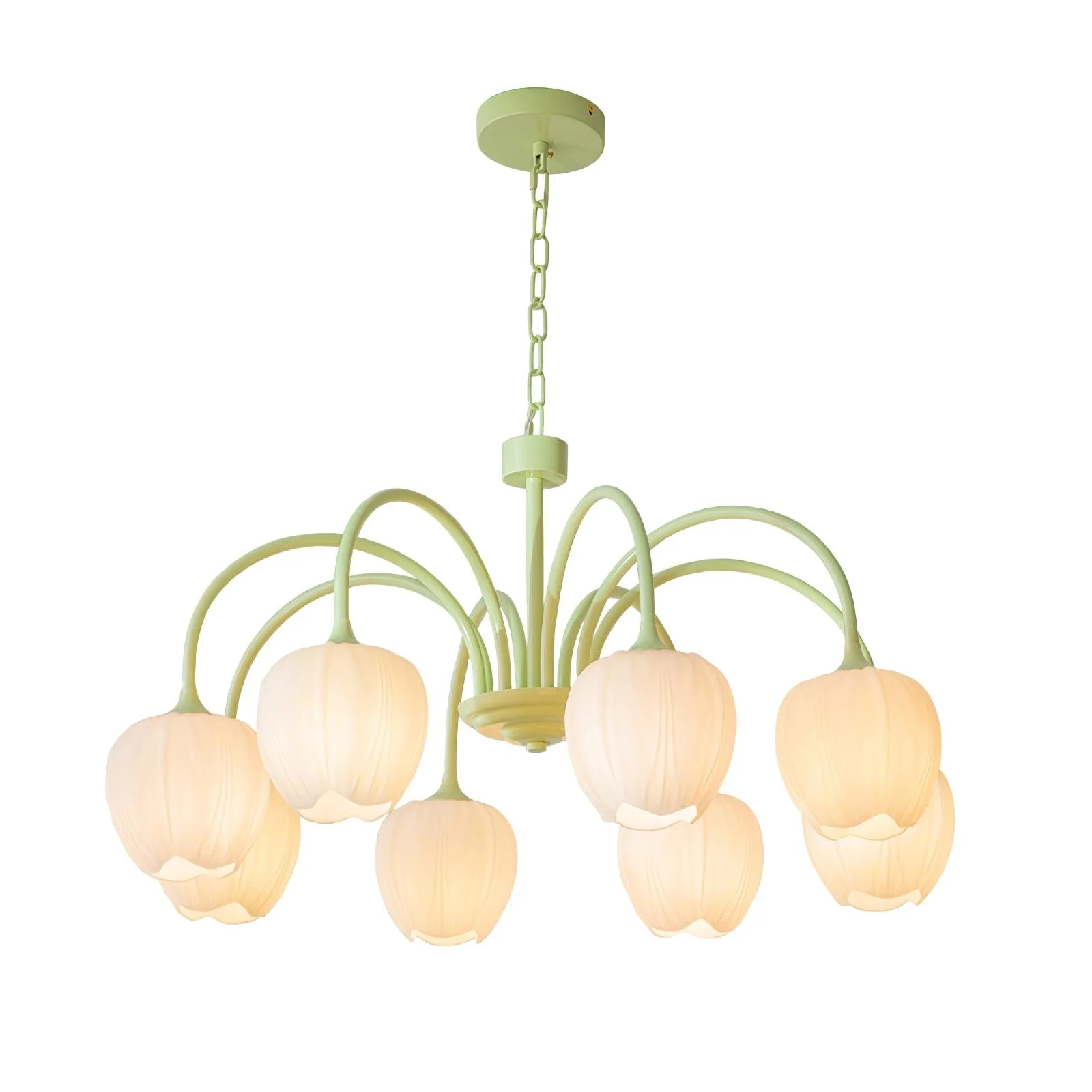 Lustra Chandelier Tulip Matcha Glass - Image 36