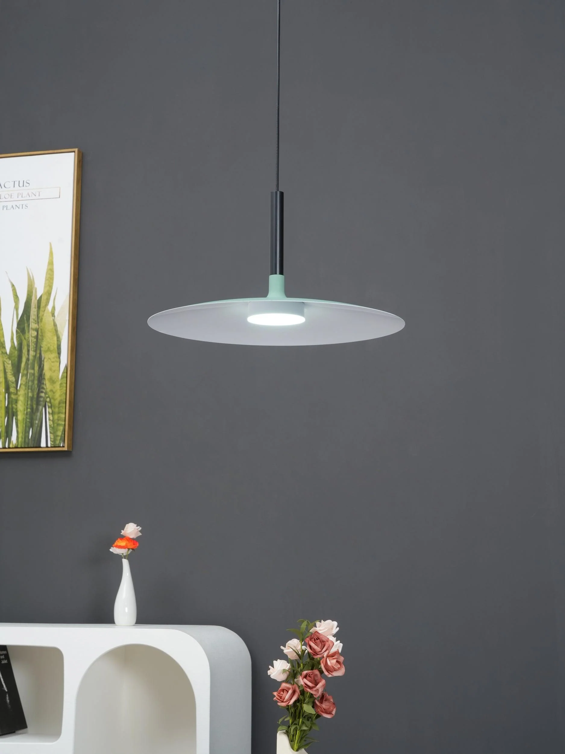 Lustra Pendant Lamp Aluminum Flat Disc - Image 49