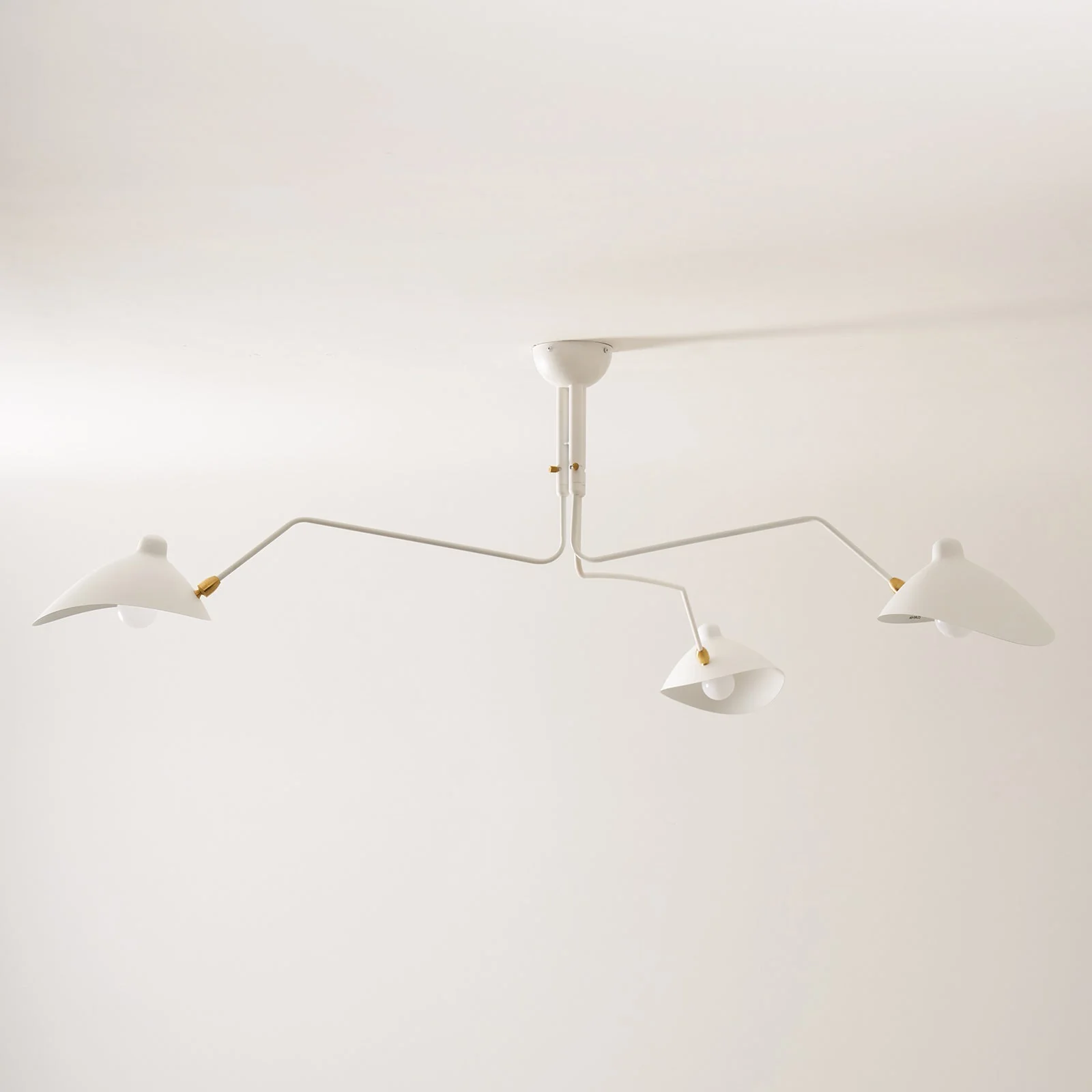 Model Contemporary Ceiling Light - Image 34