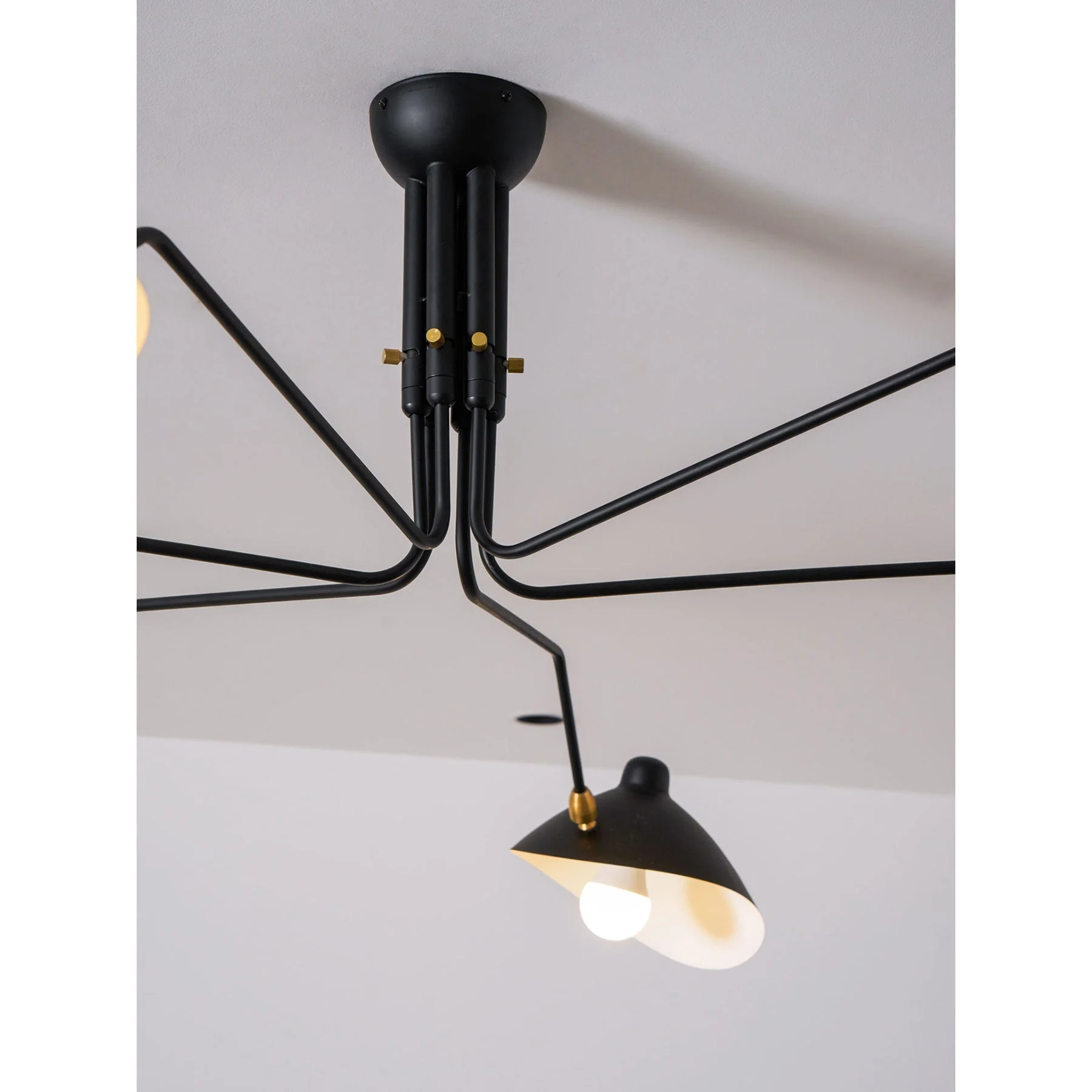 Model Contemporary Ceiling Light - Image 50