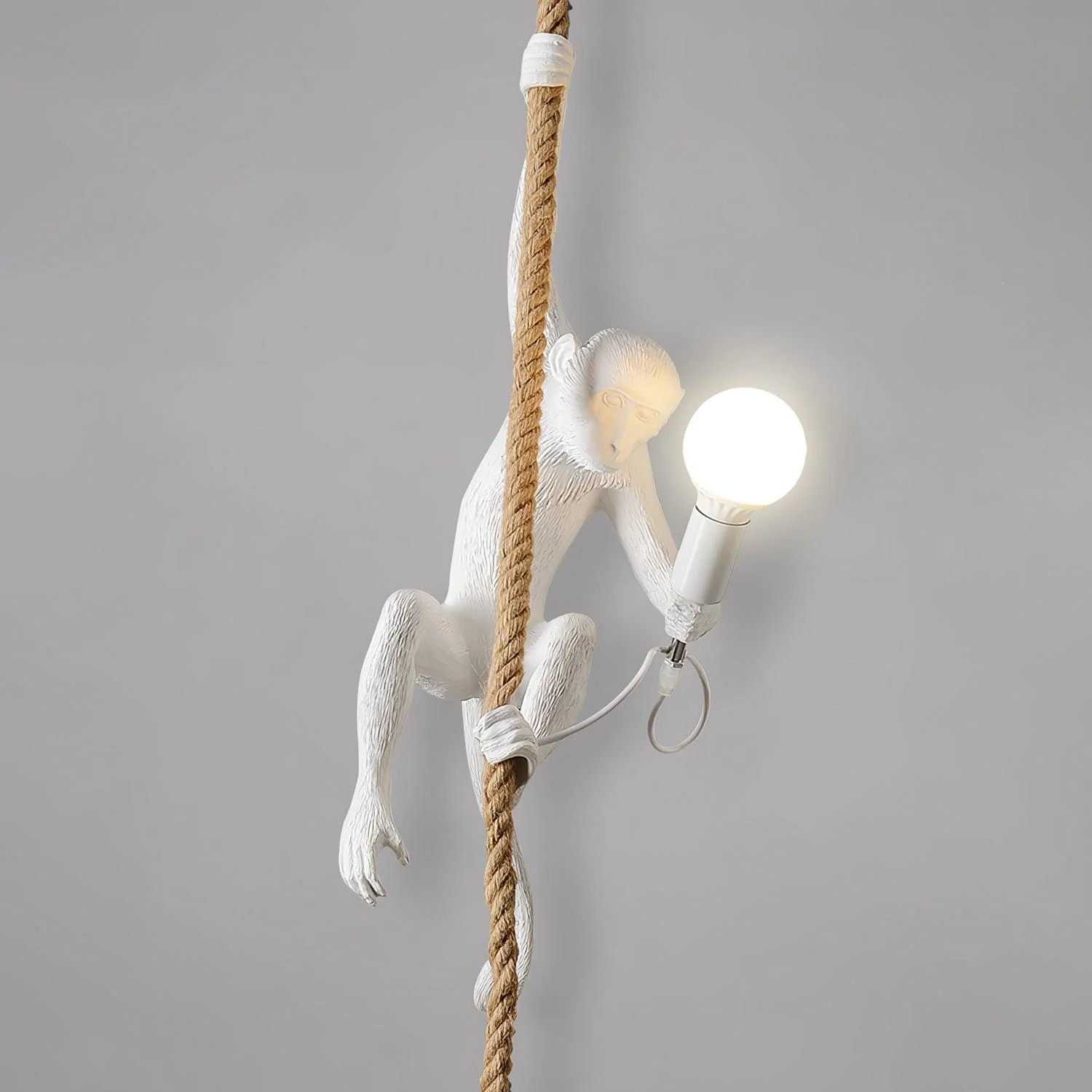 Zalira Resin Rope Artistic Pendant Lamp - Image 17
