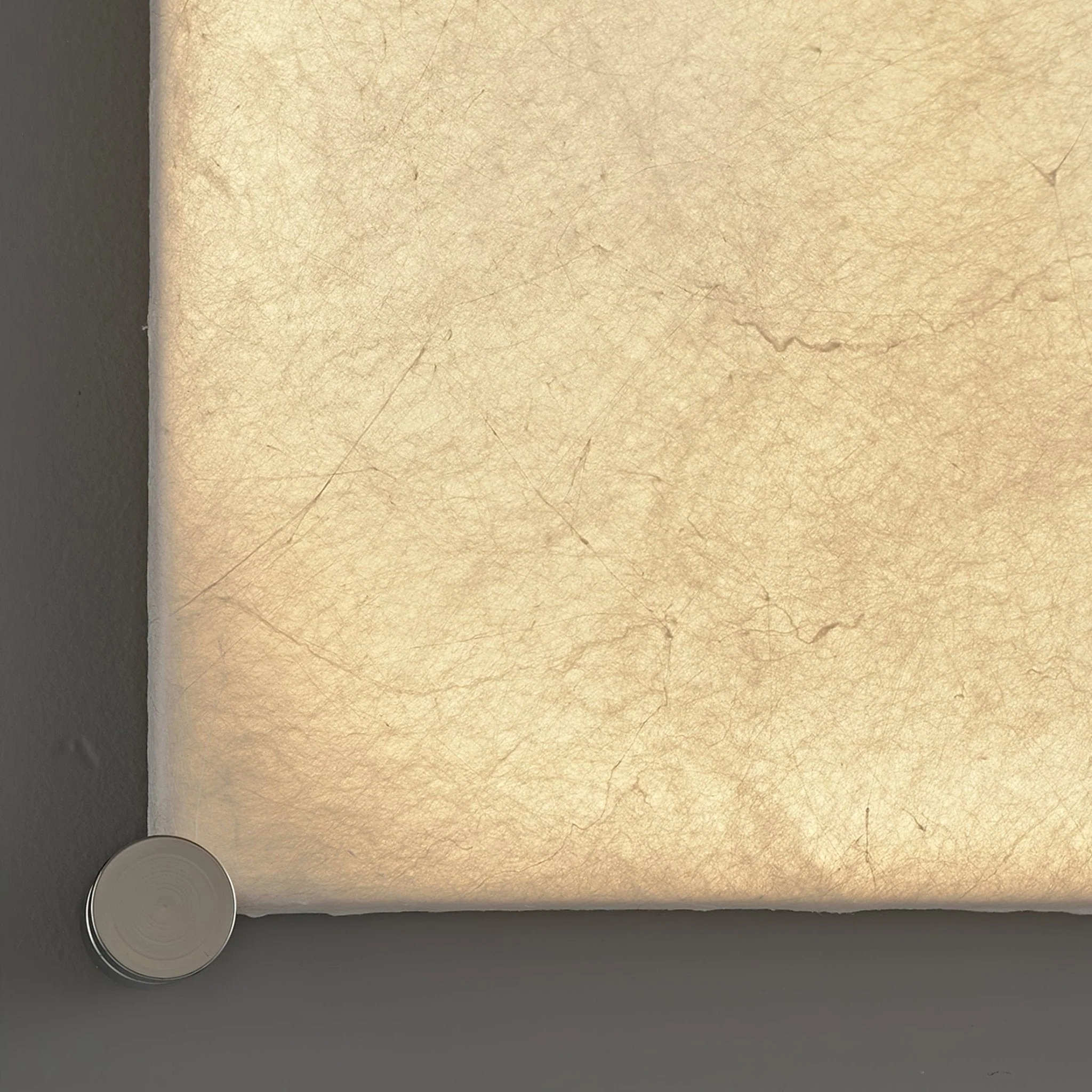 Panel Rustic Silk Wall Light - Image 18