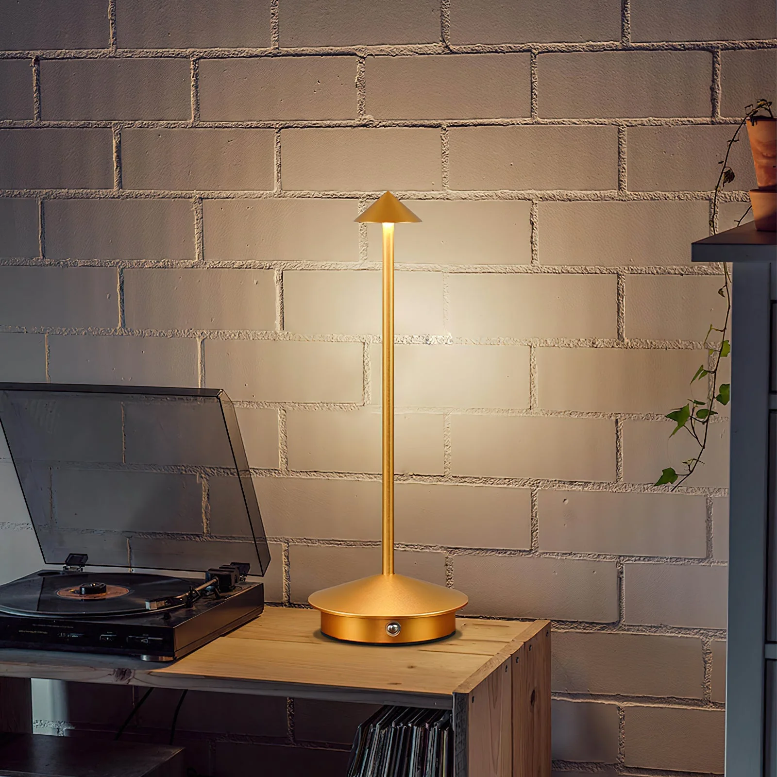 Pina Modern Table Lamp - Image 12