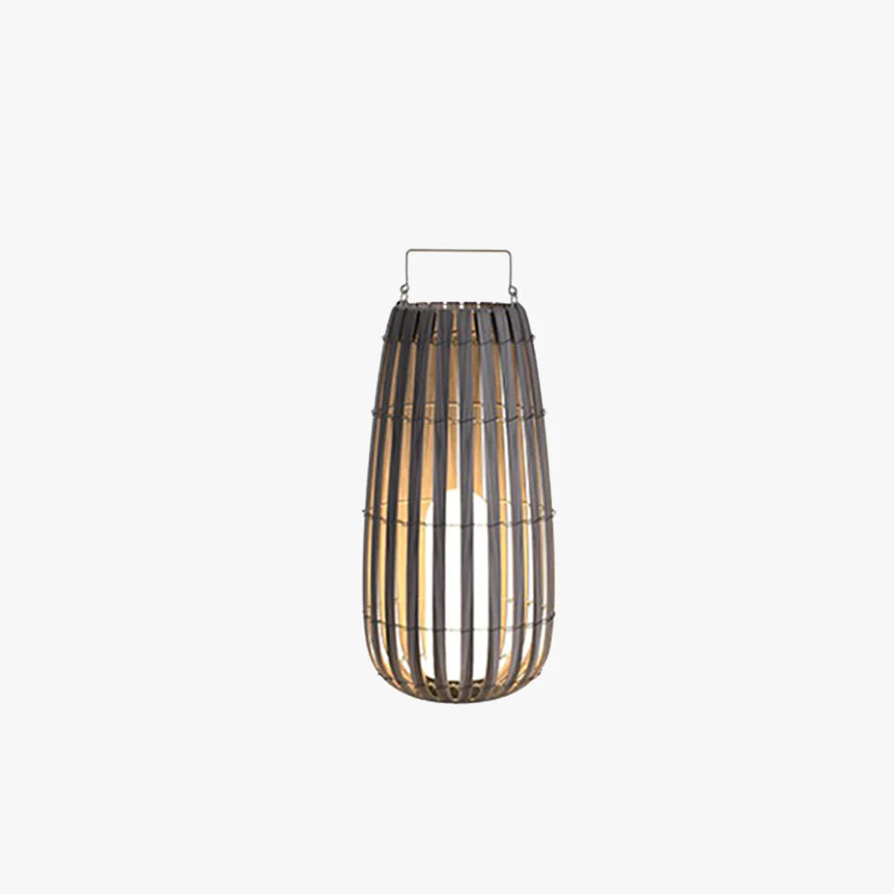 Ray Contemporary Outdoor Floor Lamp