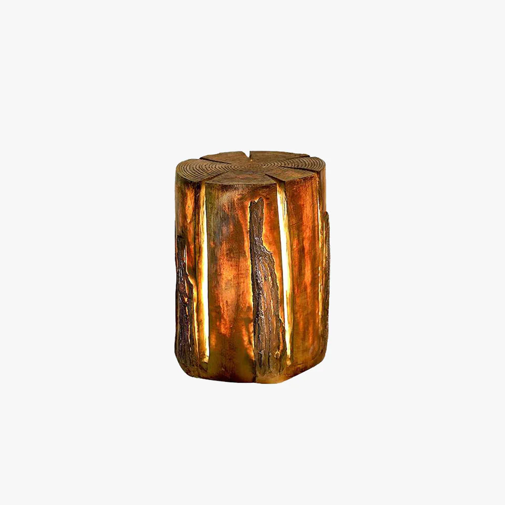 Ray Contemporary Wood Outdoor Floor Lamp